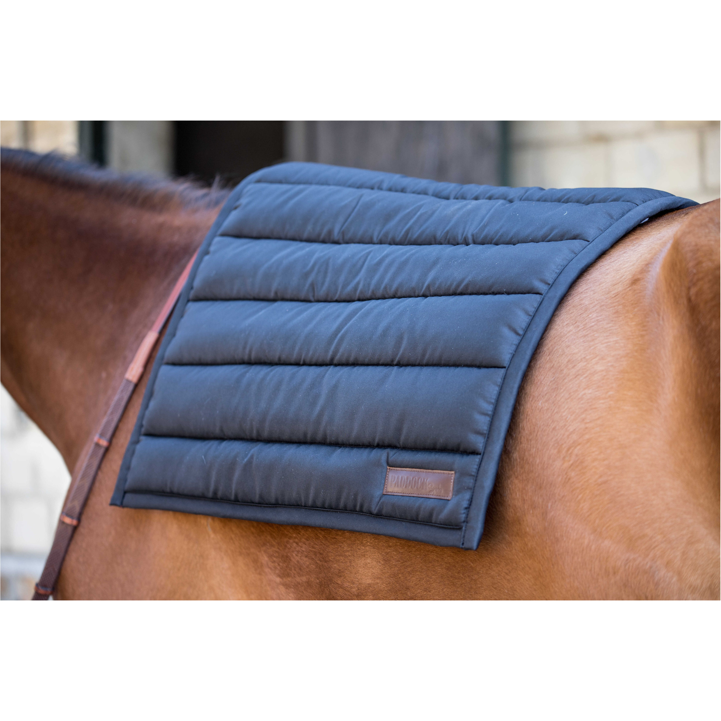 Schabracke BIG PAD schwarz Warmblut