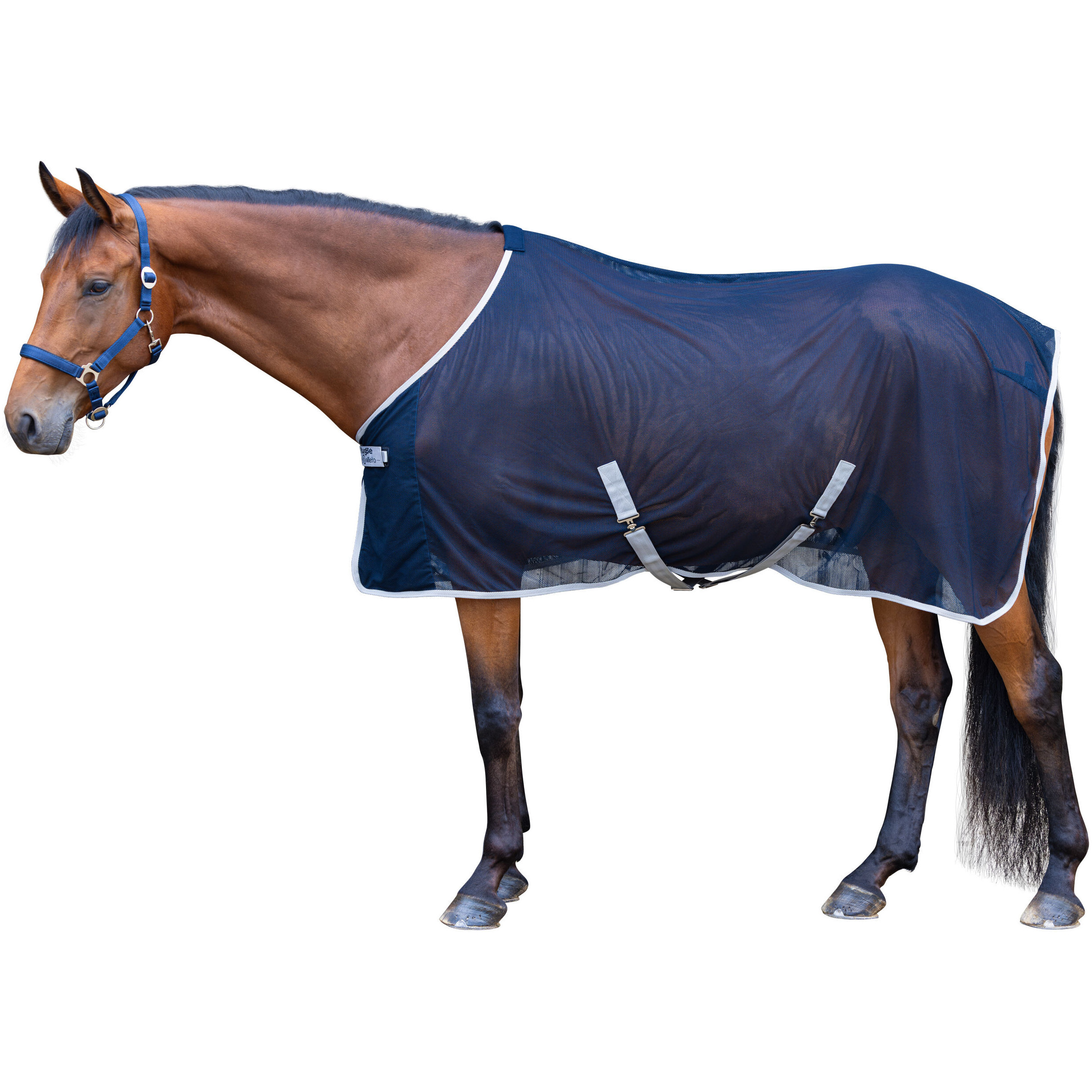 Fliegendecke RugBe navy Fliegendecke RugBe navy