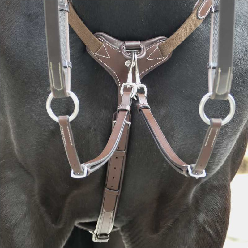 Vorderzeug mit Elast BIANCA braun Vorderzeug mit Elast BIANCA braun