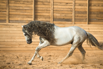 Fotolia_66102326_XS