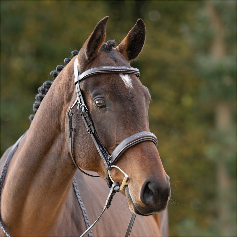 Huntertrense englisch kombiniert BENITA braun