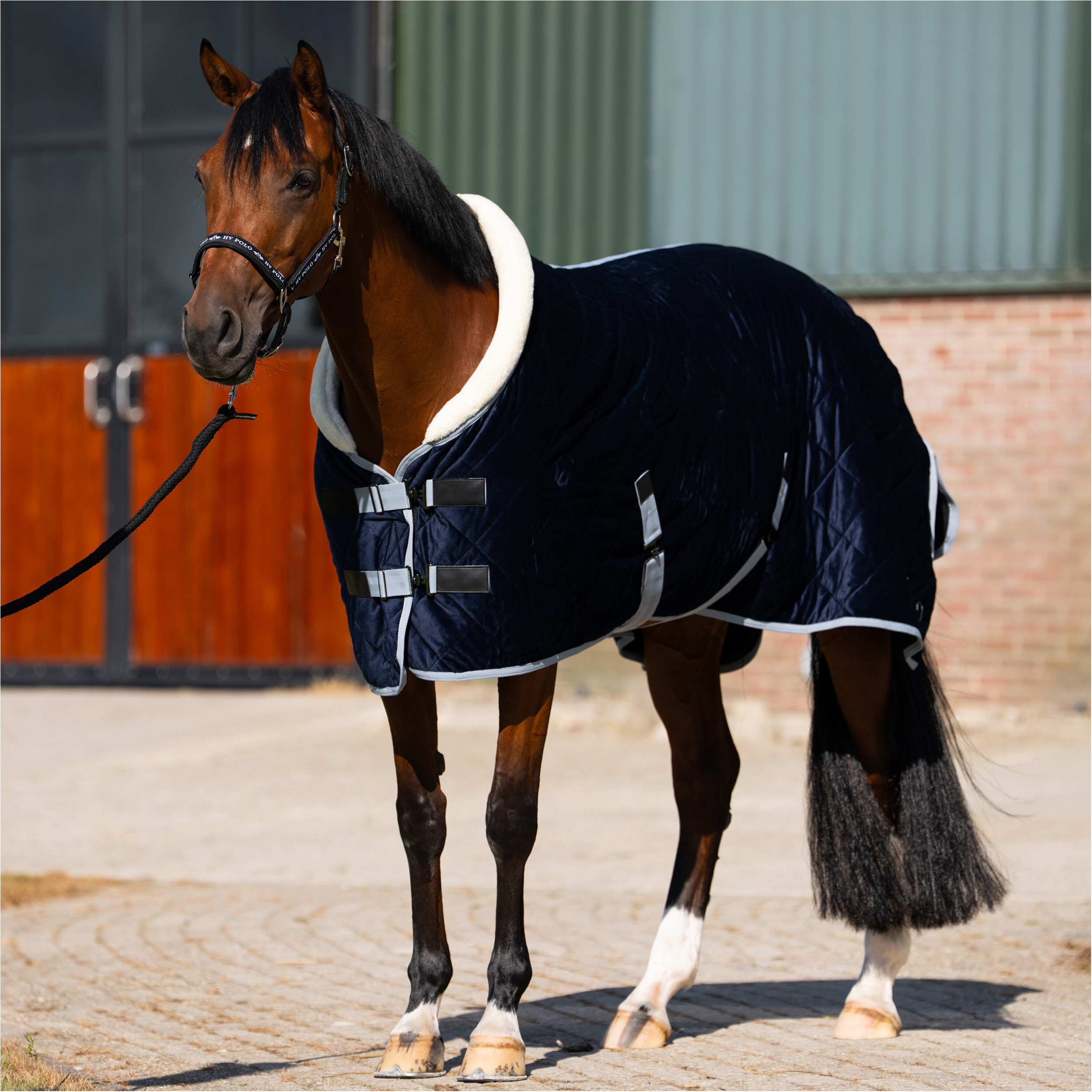 Stalldecke 420D HVPSasha navy