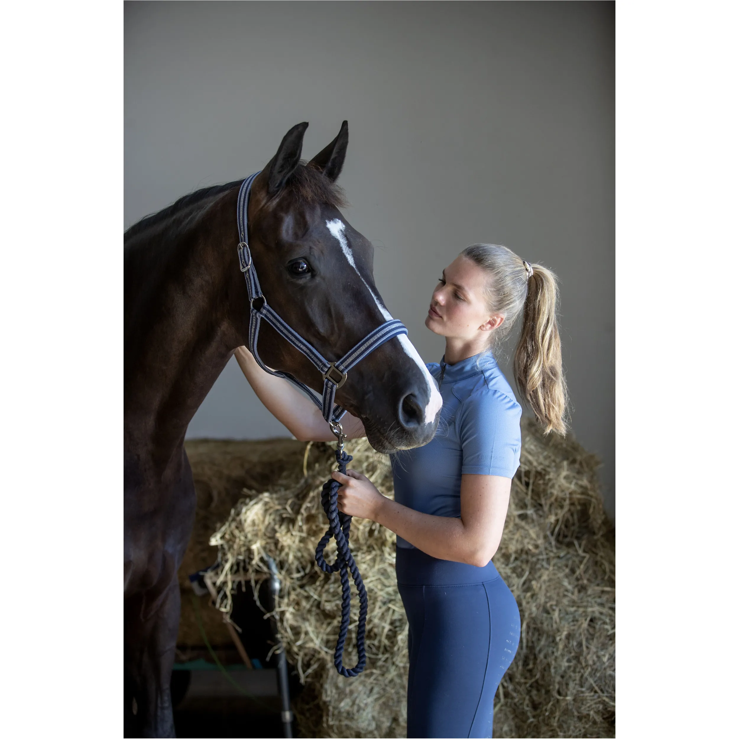 Damen Reitleggings Silikon Vollbesatz TAWNY navy