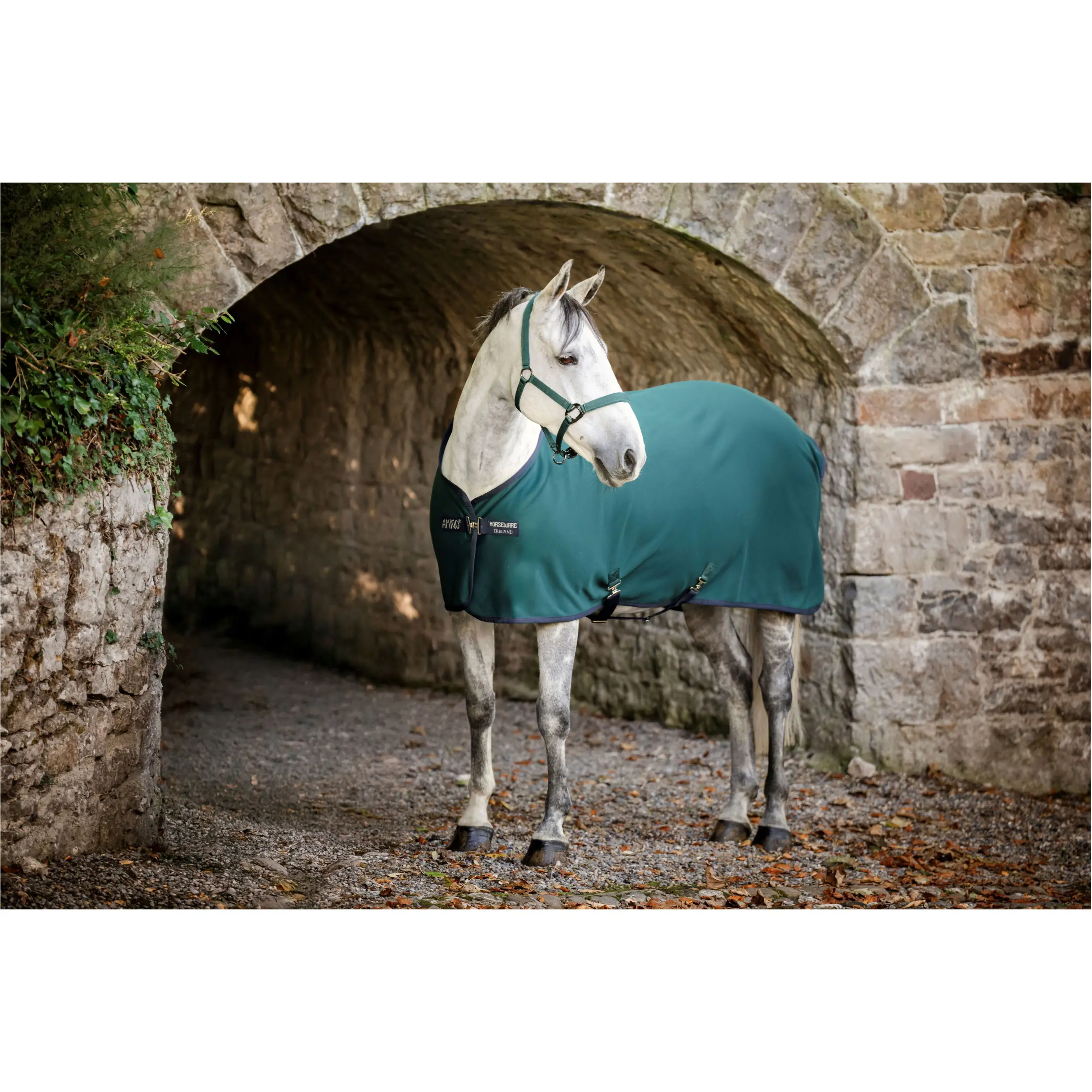Abschwitzdecke AMIGO Jersey Cooler dynasty green/navy/silver