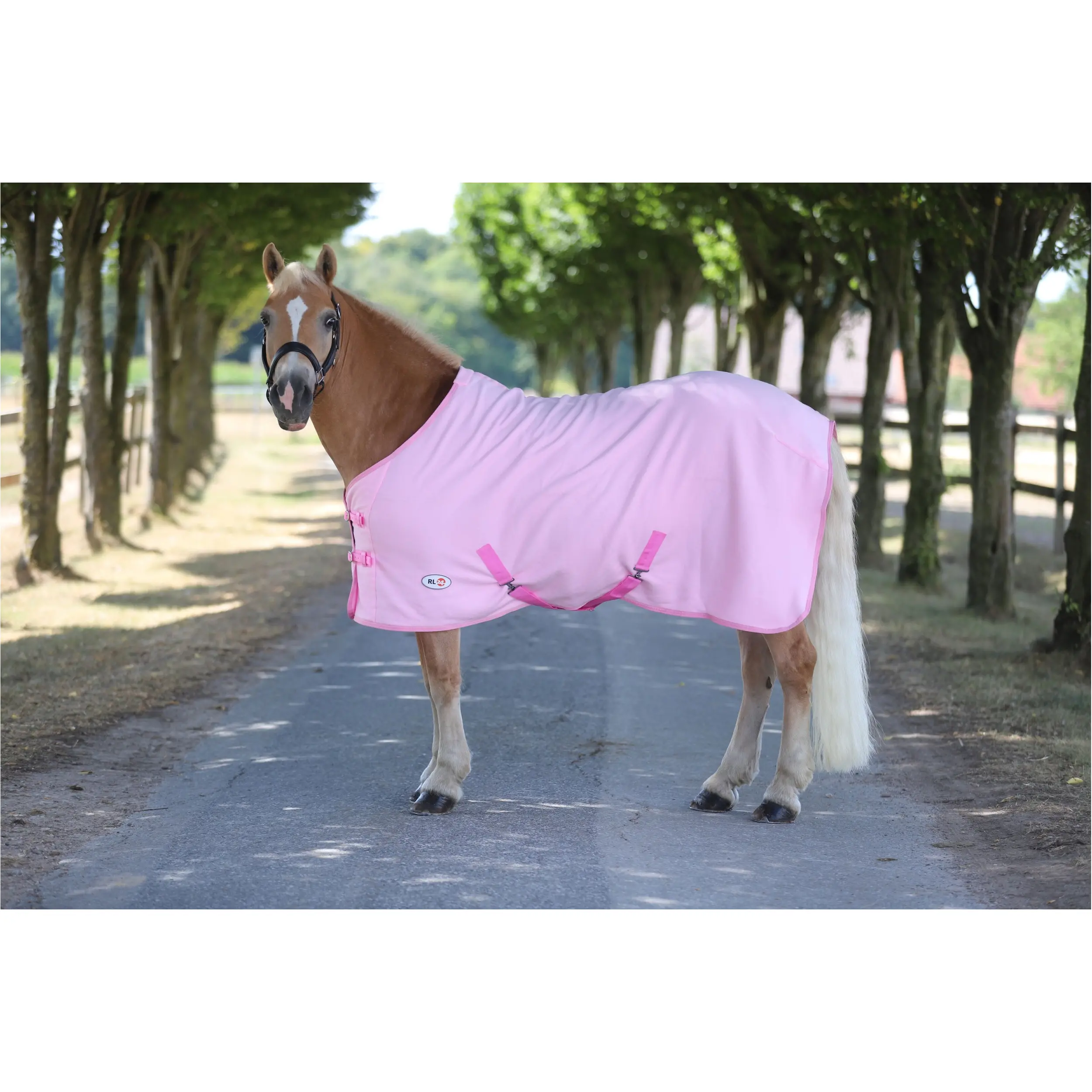 Abschwitzdecke mit Kreuzgurt BASICLINE rosa Abschwitzdecke mit Kreuzgurt BASICLINE rosa