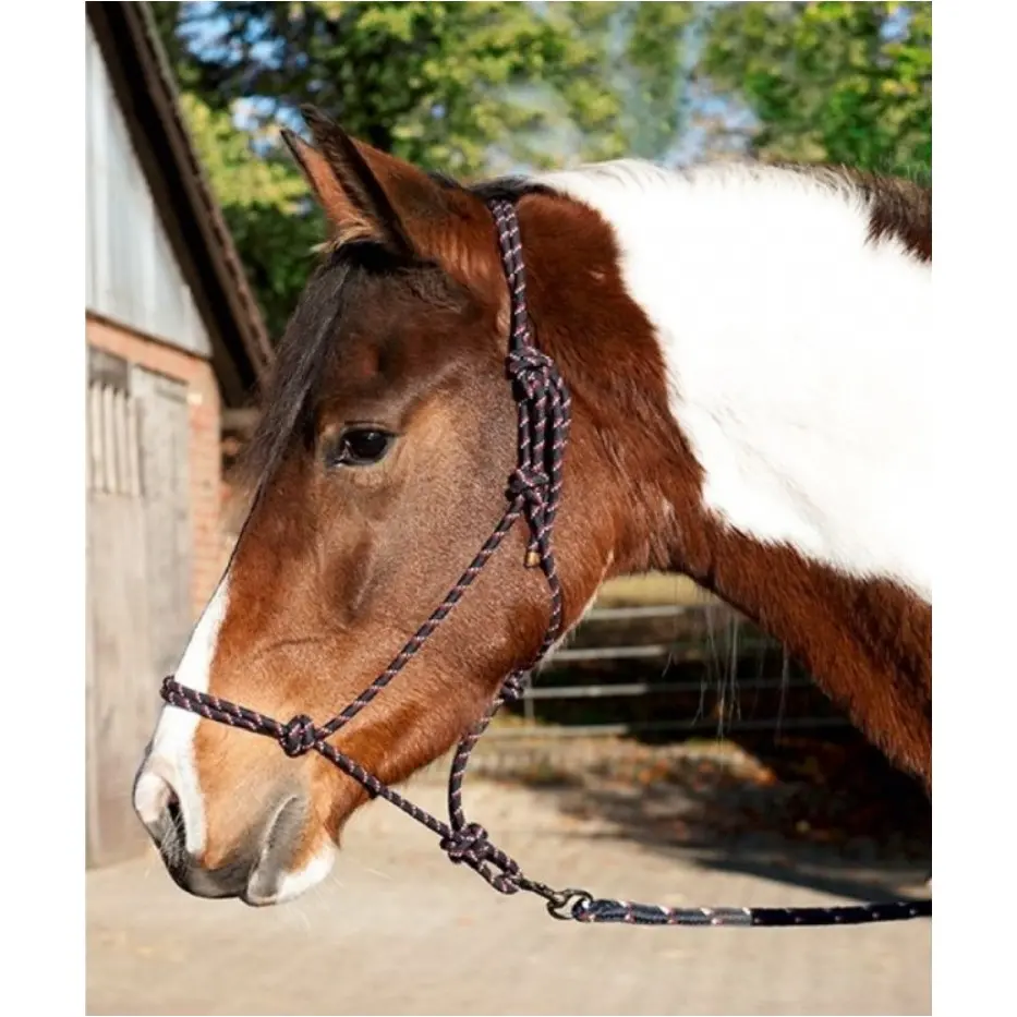 Knotenhalfter (Set) TRUST schwarz Knotenhalfter (Set) TRUST schwarz