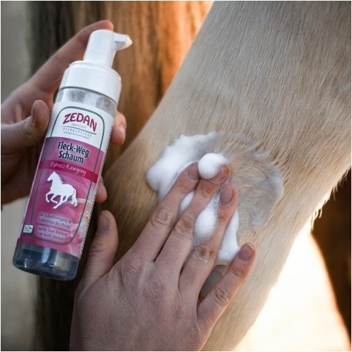 Fleck-Weg Schaum Expressreinigung 200ml
