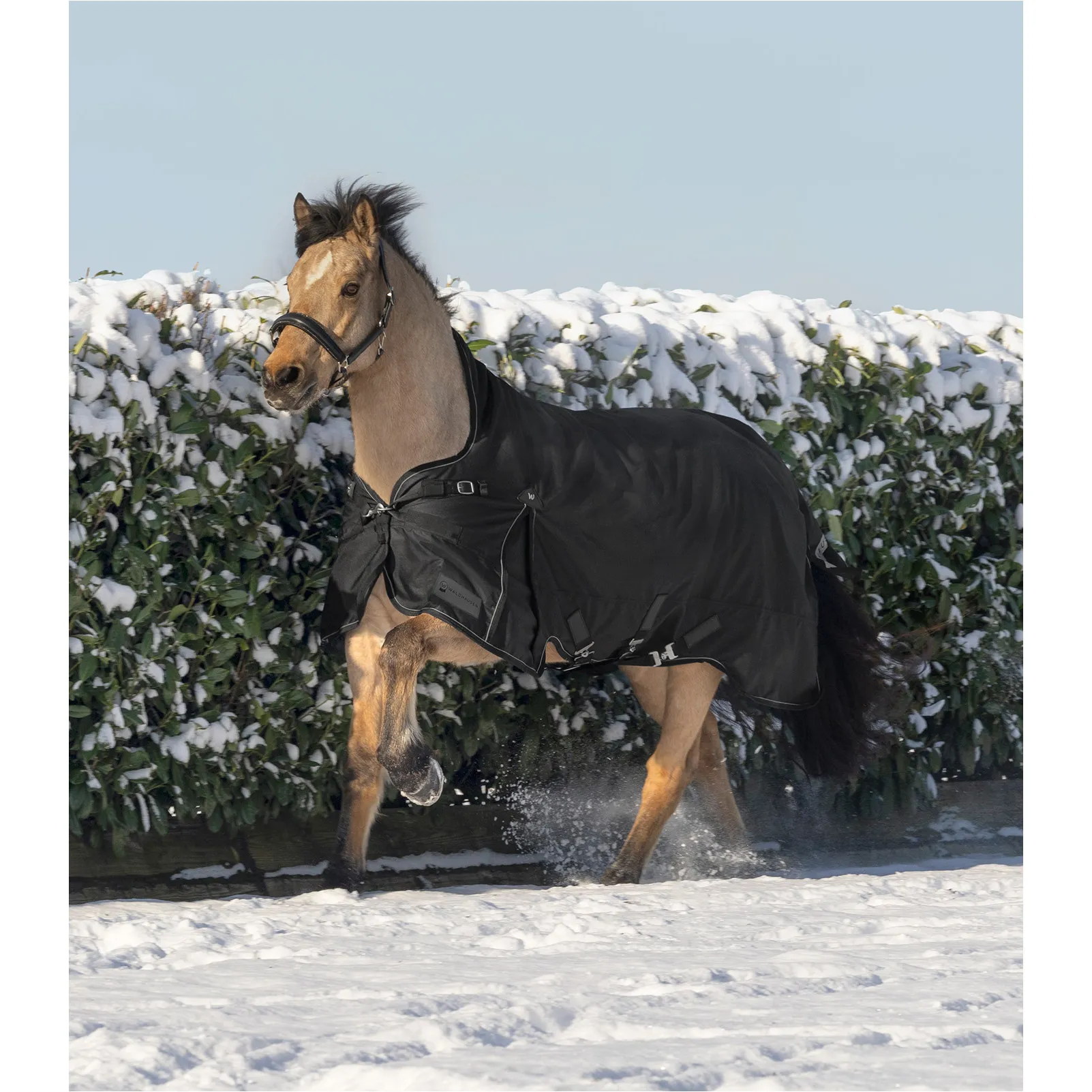 Outdoordecke High Neck Light 1200D SCANDIC schwarz