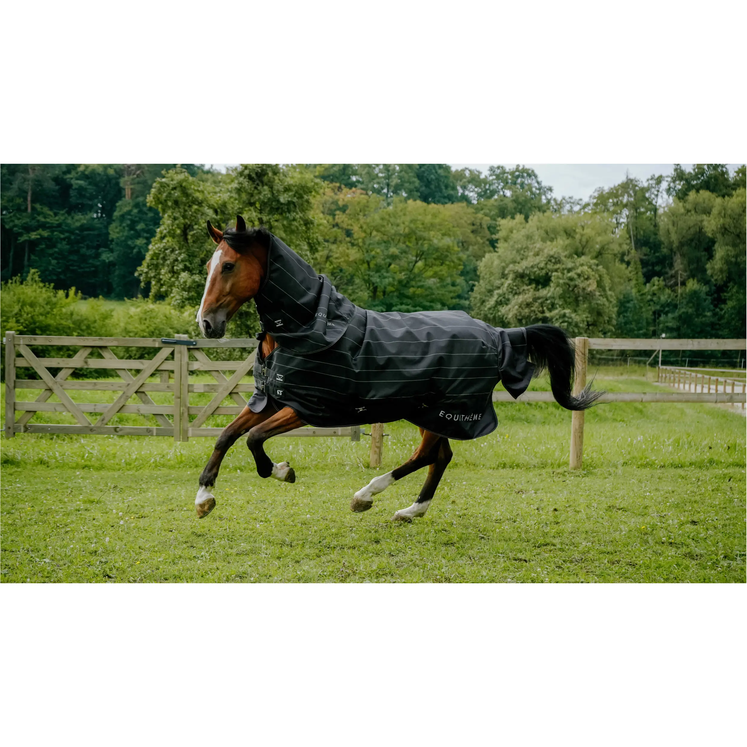 Regendecke reflektierend 600D TYREX Lumin EquiTheme schwarz