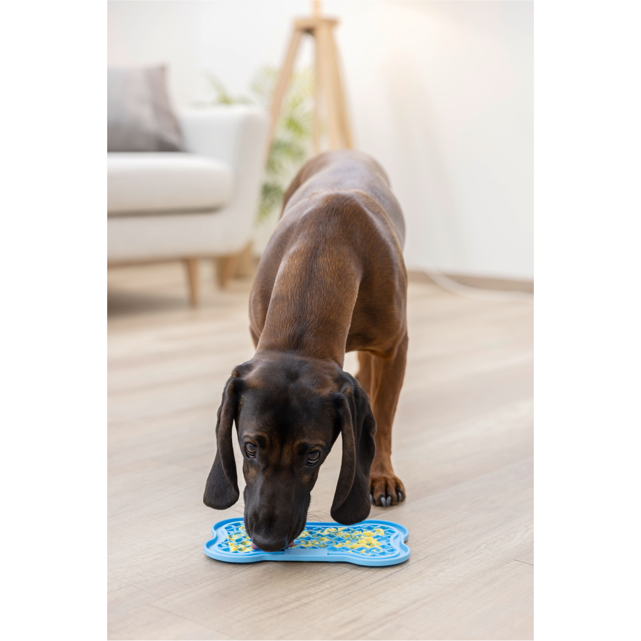 Schleckmatte blau 22x13cm Schleckmatte blau 22x13cm