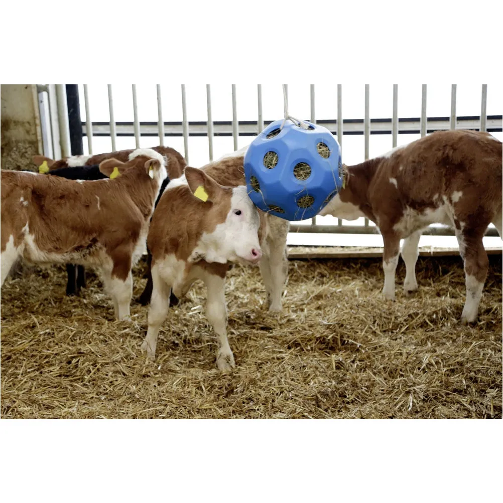Futterspielball HEUBOY blau 40cm