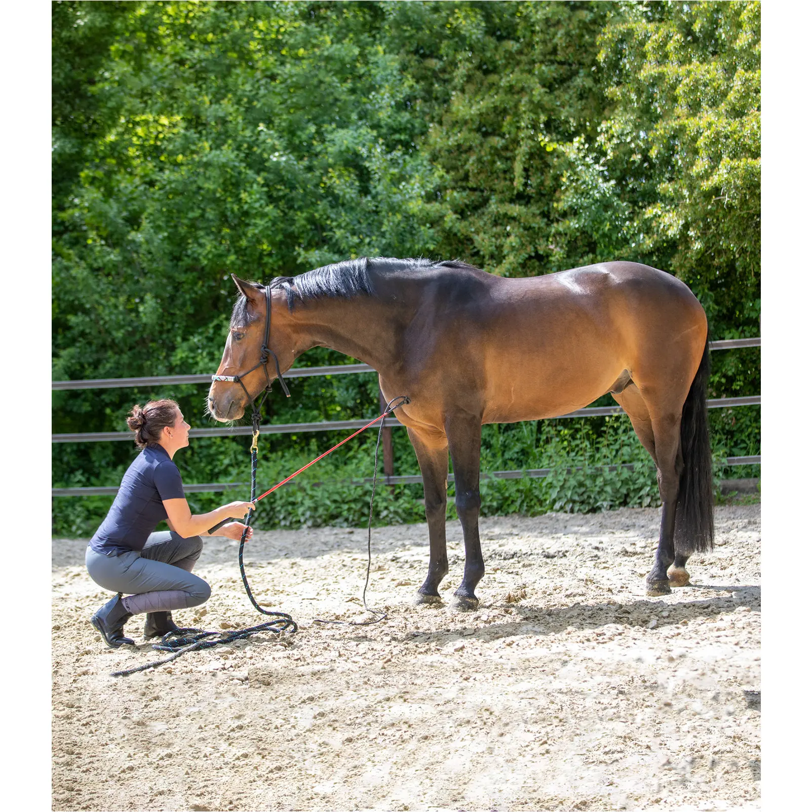 Kontaktstock rot/schwarz