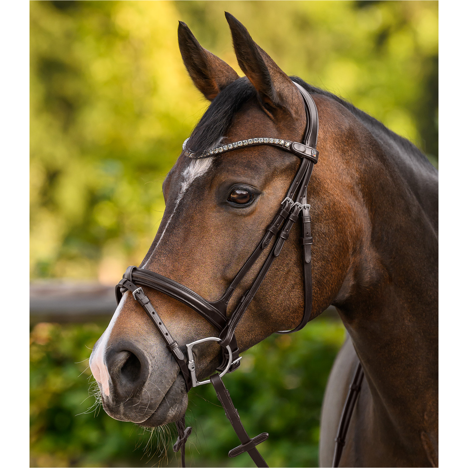 Stirnband SHINE X-Line braun/silber Stirnband SHINE X-Line braun/silber