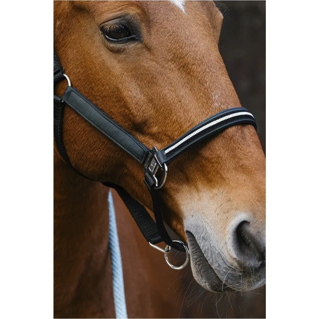 Nylonhalfter mit Strass DOMINO grün