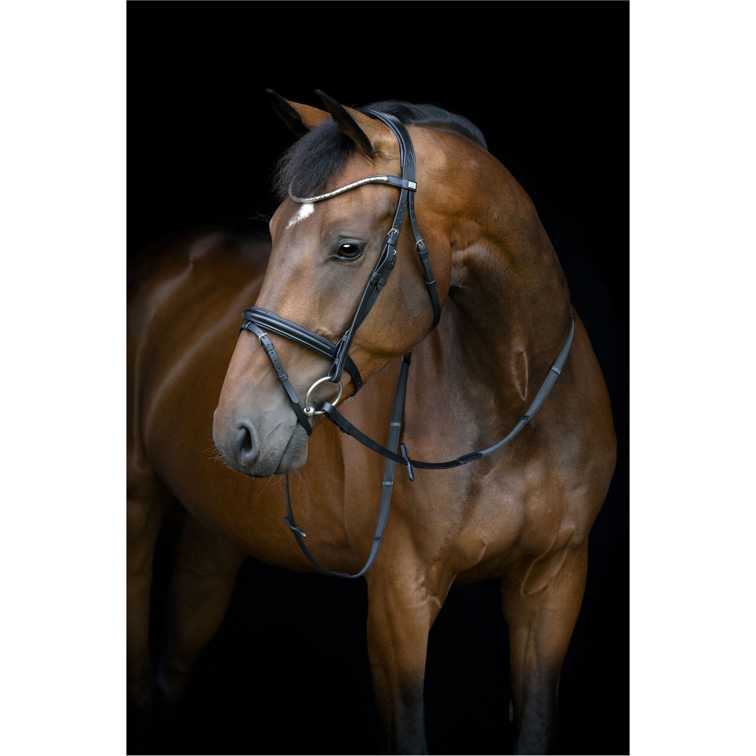 Trensenzaum englisch kombiniert EMI 26.1 schwarz