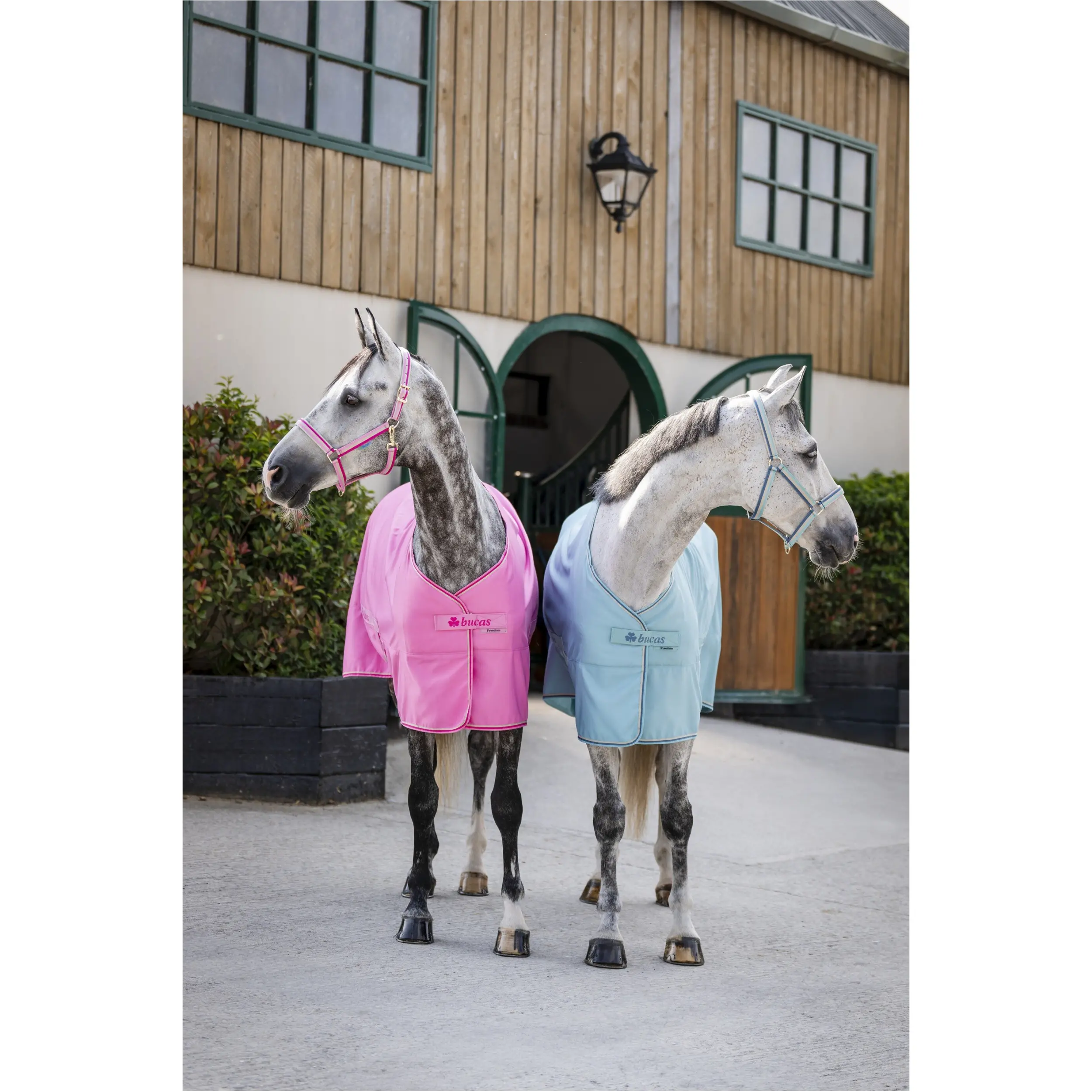 Stall-, Sommer- und Transportdecke FREEDOM TWILL SHEET türkis