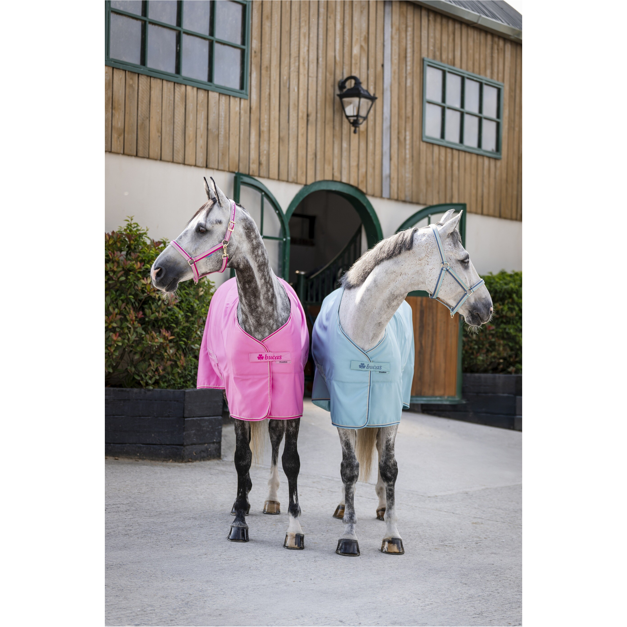 Stall-, Sommer- und Transportdecke FREEDOM TWILL SHEET türkis