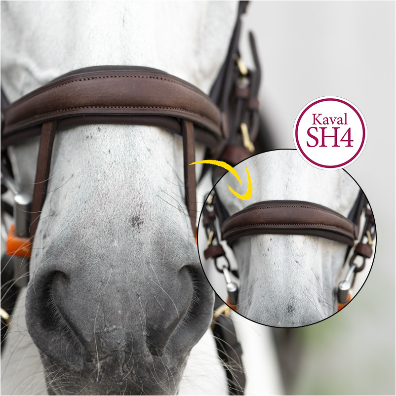 Trensenzaum englisch kombiniert CALIANO Leder geölt braun/messing