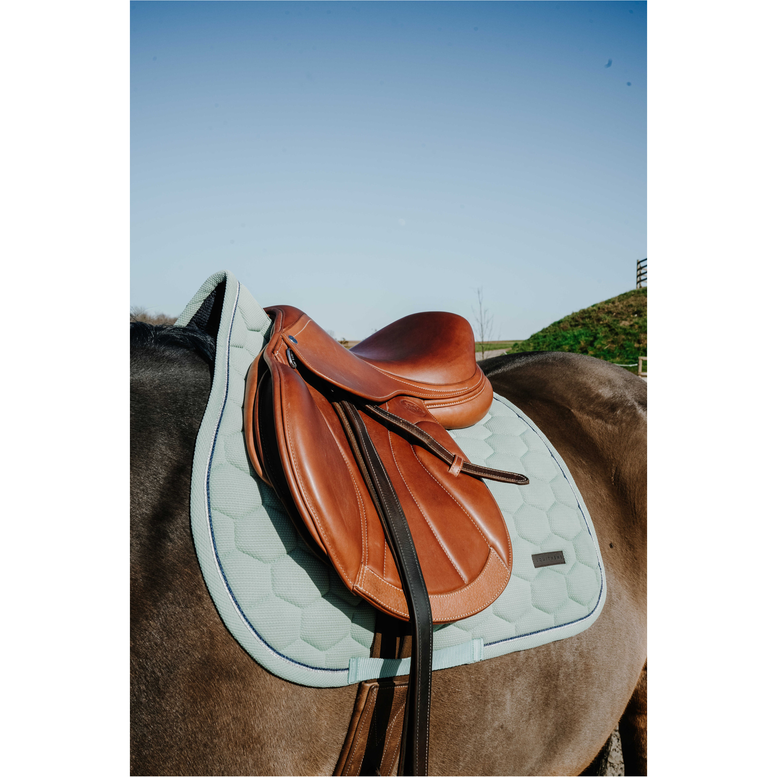 Schabracke HONEY hellgrün Warmblut Vielseitigkeit