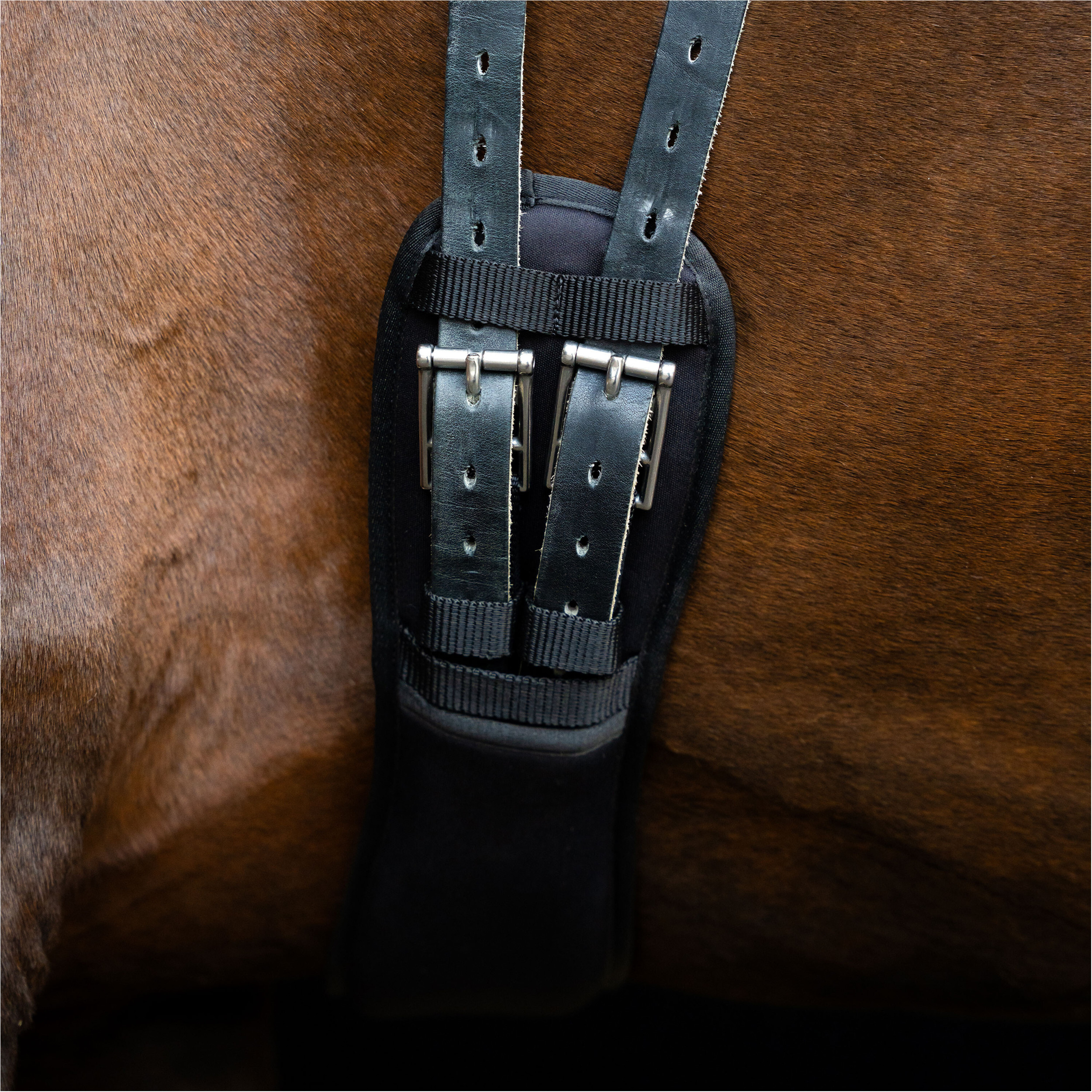 Dressurgurt IRH mit Memoryschaum schwarz