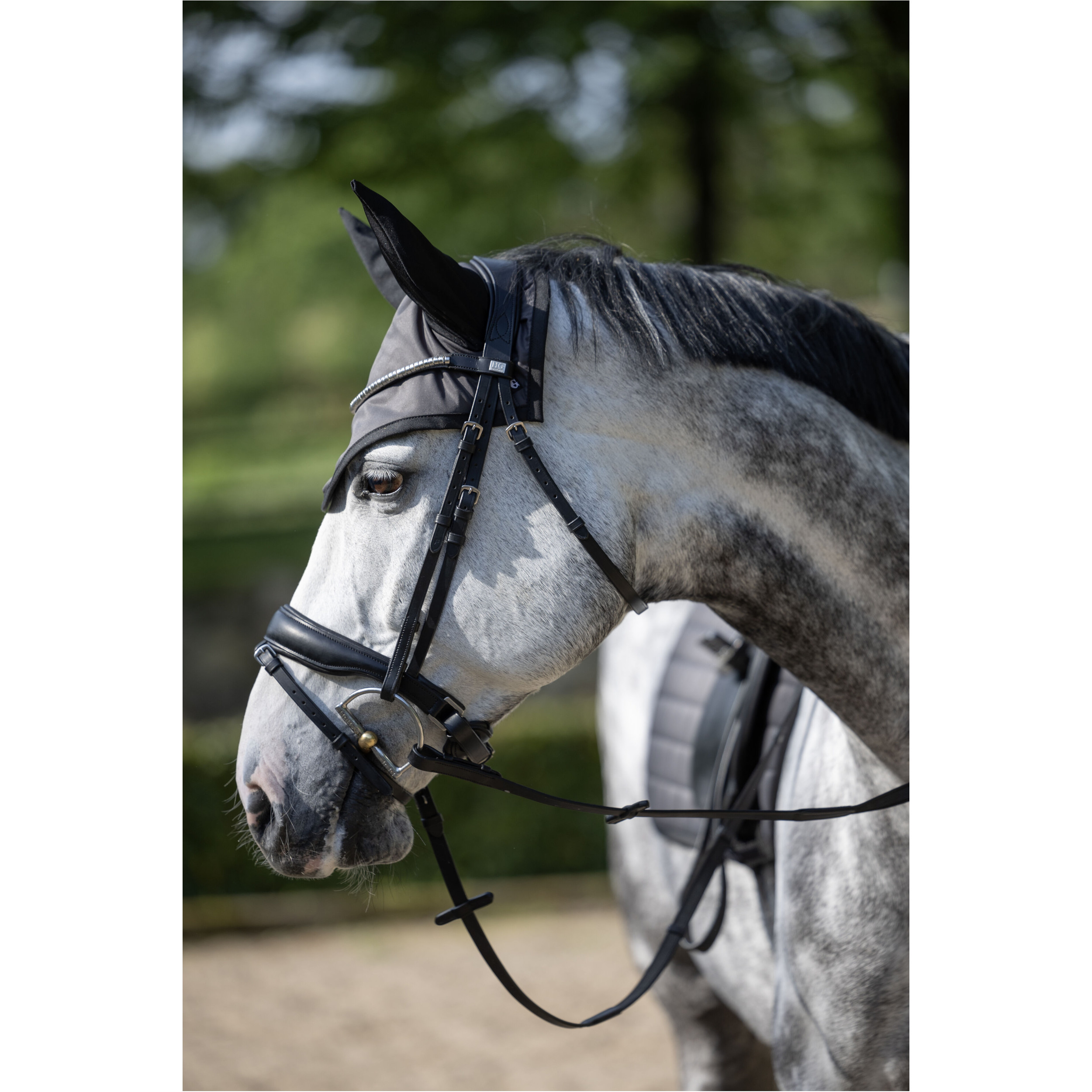 Trensenzaum schwedisch kombiniert CRYLL 26.1 schwarz