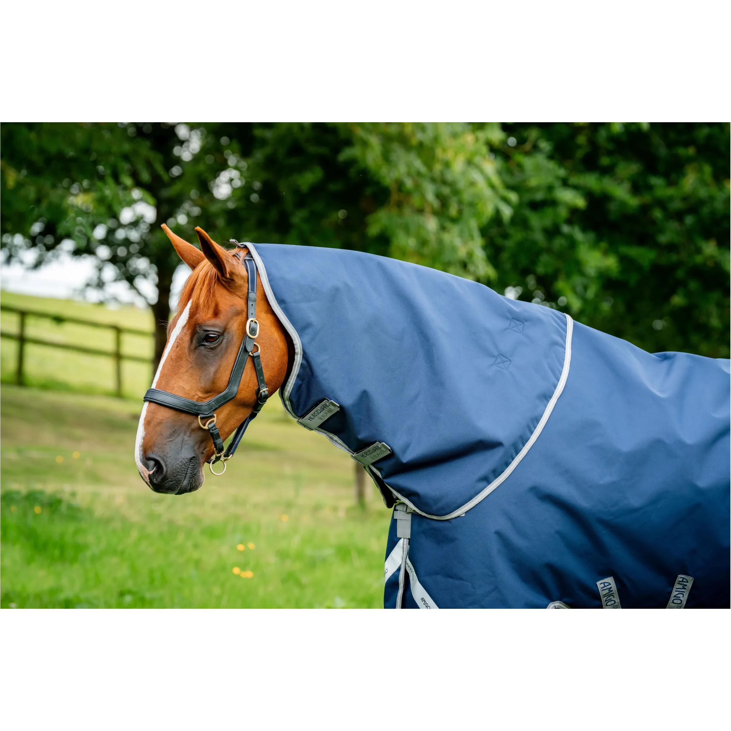 Halsteil 1200D AMIGO Hood navy/titanium grey/silver