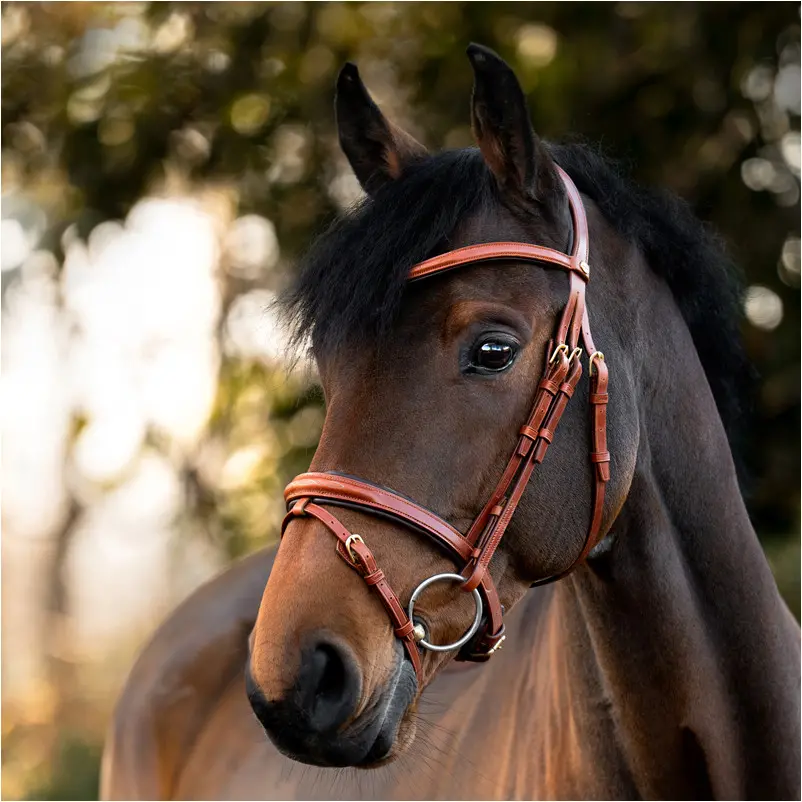 Springtrense englisch kombiniert ROBIN cognac/messing