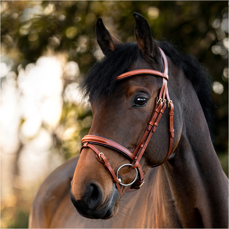 Springtrense englisch kombiniert ROBIN cognac/messing