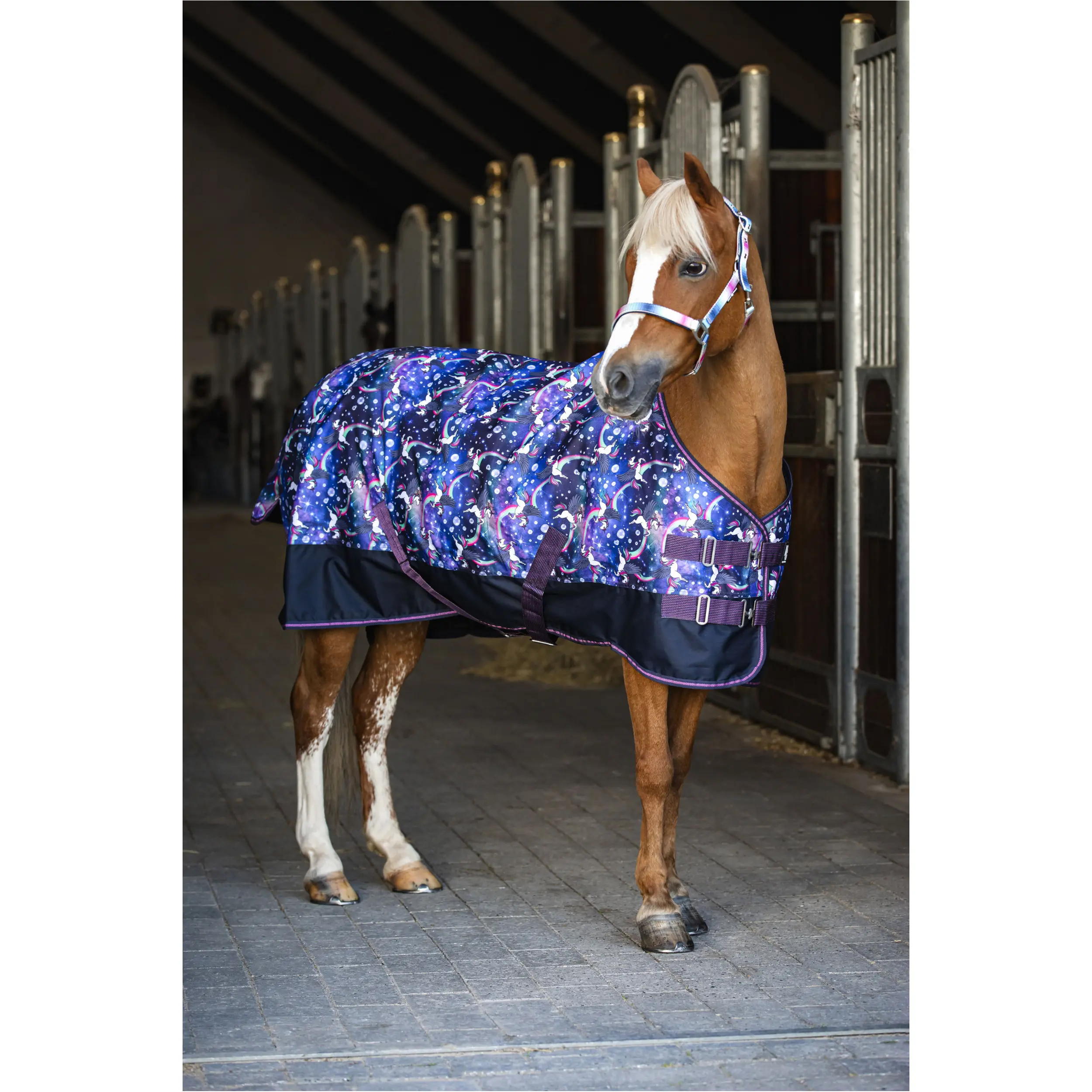 Turnoutdecke 100g Füllung 600D JOSH PONY dutch blue