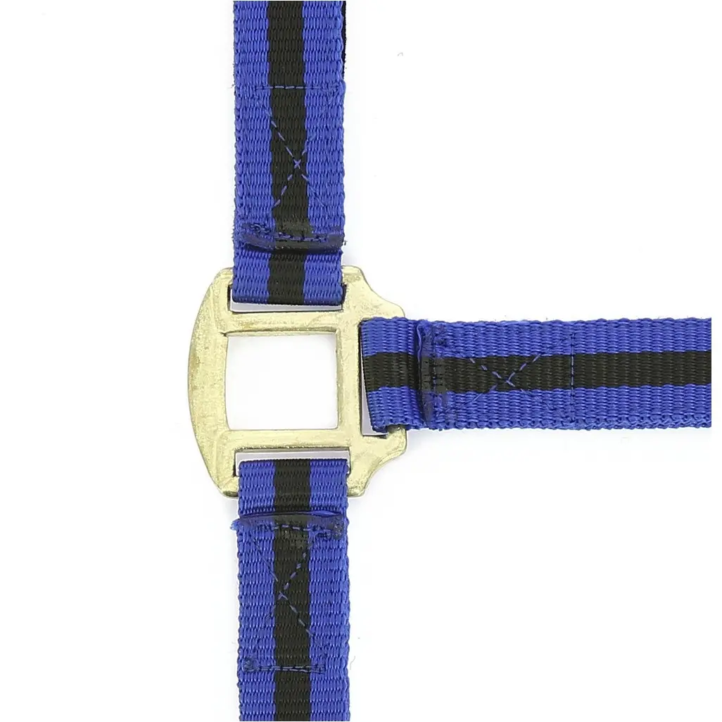 Nylonhalfter mit Büffelspaltleder unterlegt blau/schwarz Nylonhalfter mit Büffelspaltleder unterlegt blau/schwarz