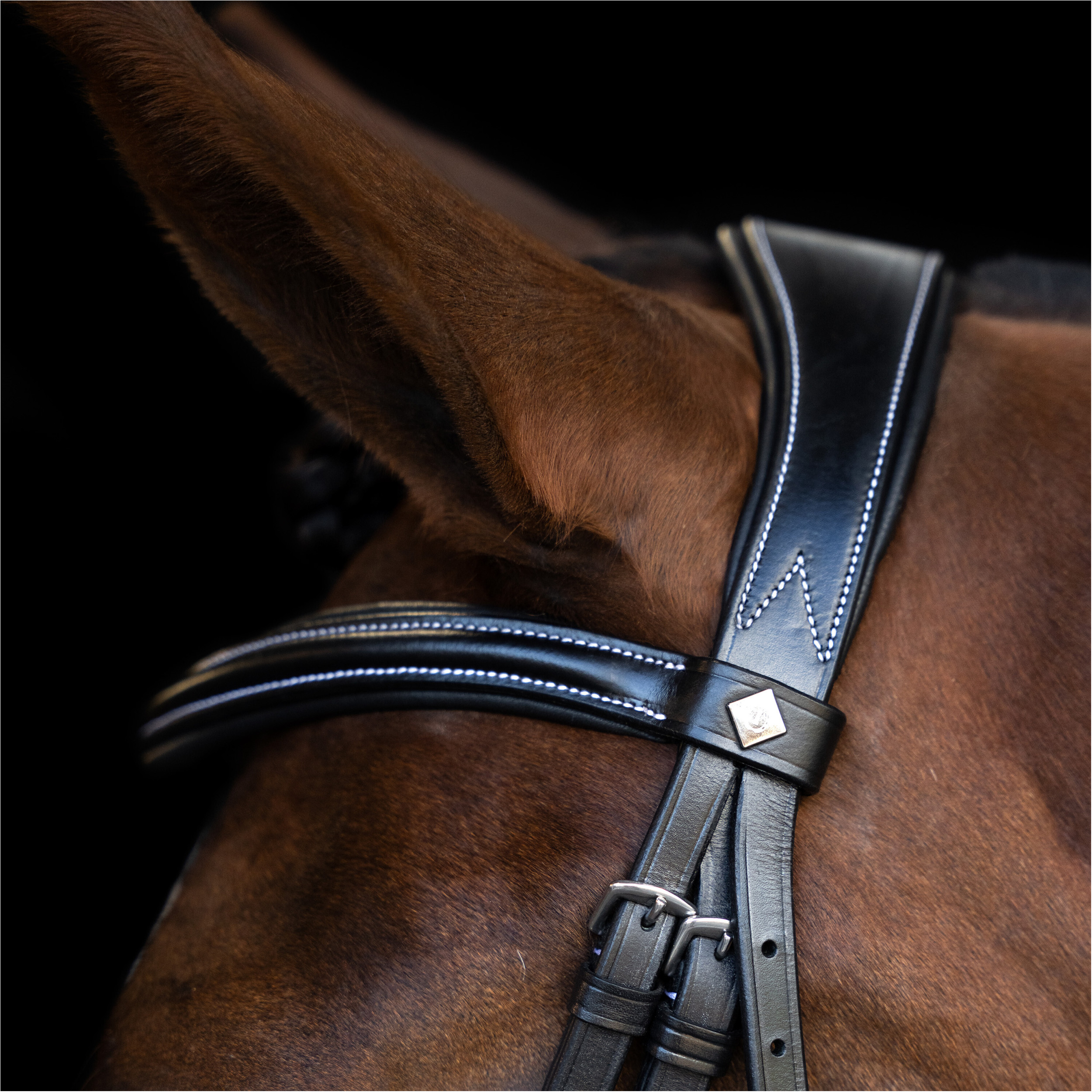 Trensenzaum IRH mit gebogenem englischen Nasenriemen schwarz Trensenzaum IRH mit gebogenem englischen Nasenriemen schwarz