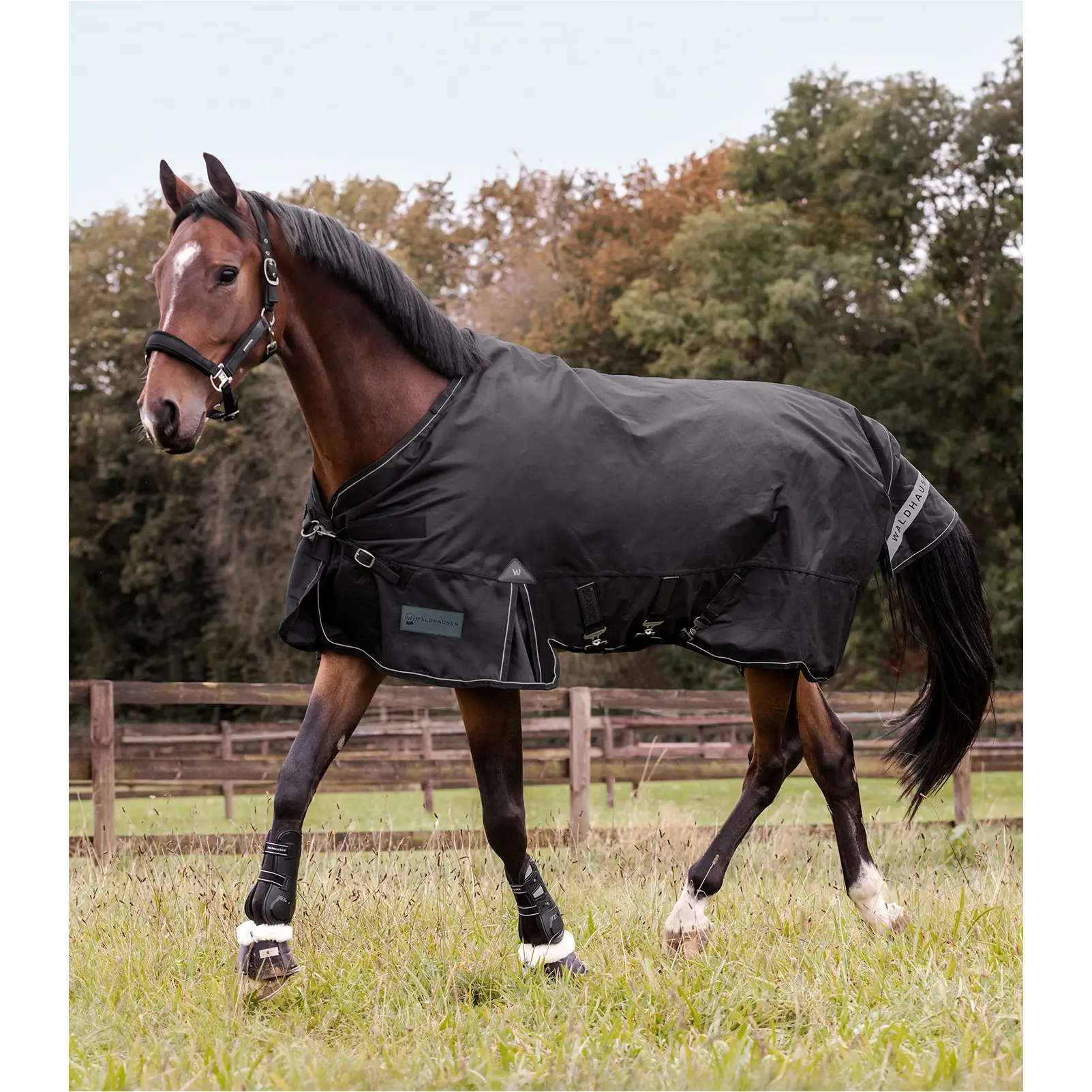 Outdoordecke Multi-Layer 150g/50g Füllung 1200D SCANDIC schwarz
