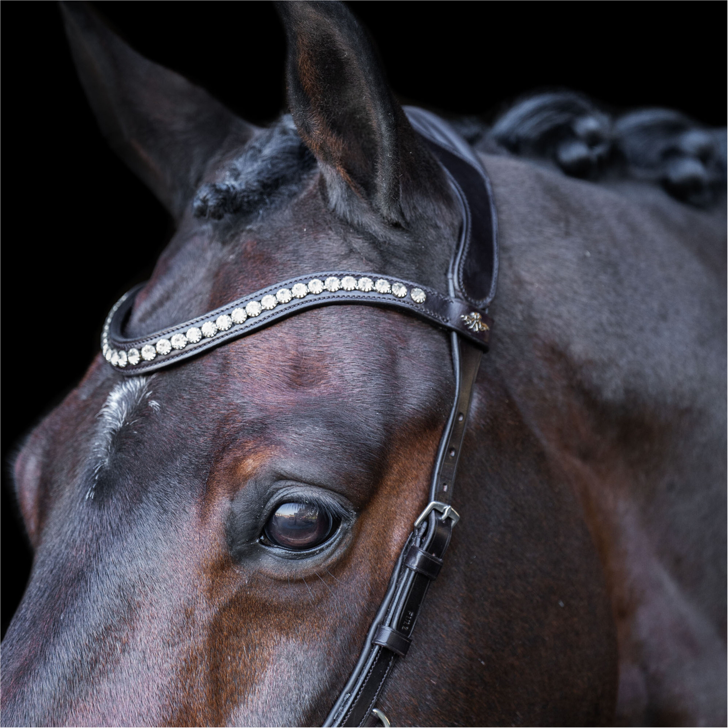 Trense HVPLegacy anatomisch Deluxe chocolate braun