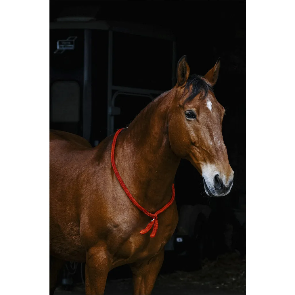 Ethologisches Halsband rot