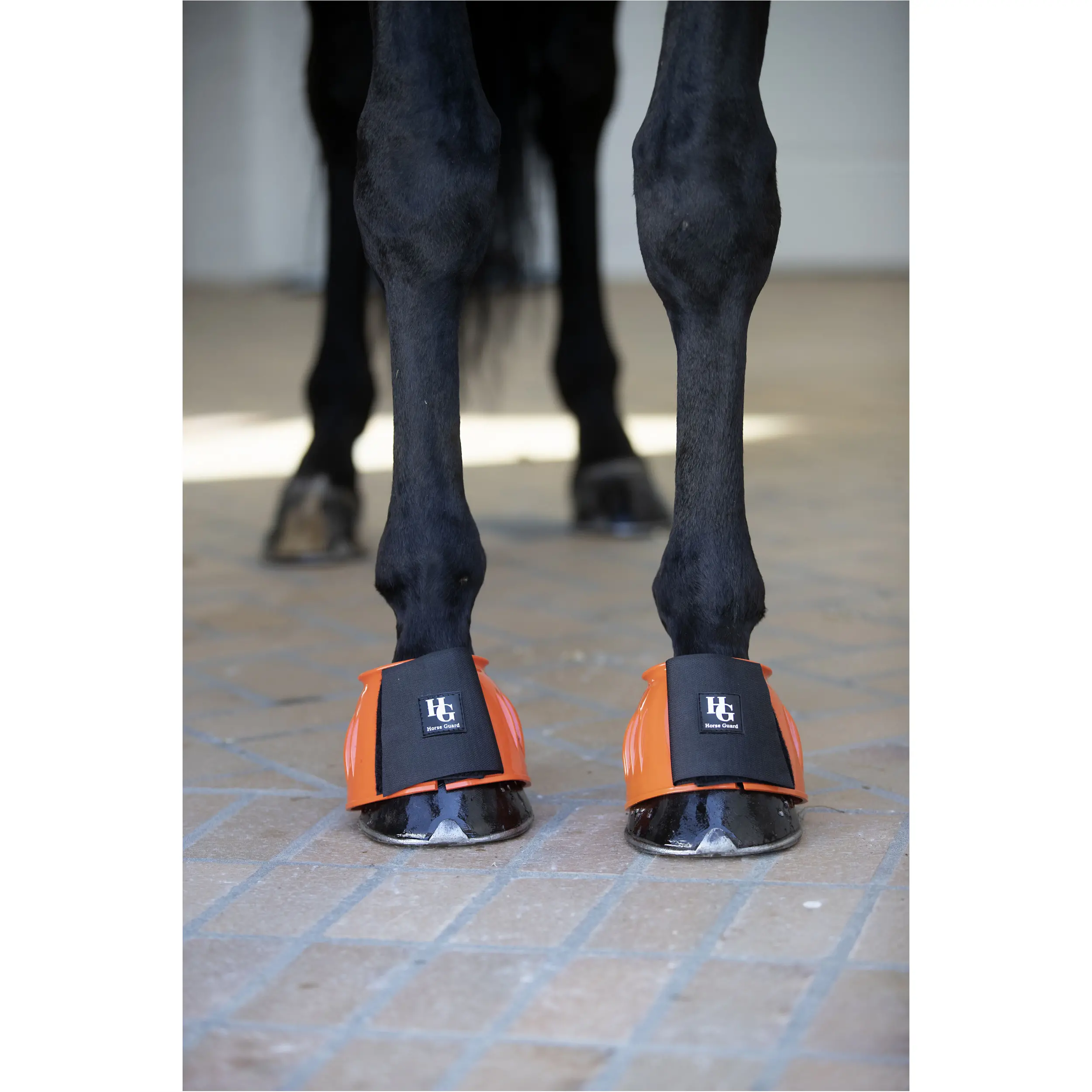 Hufglocken TAMSIN orange