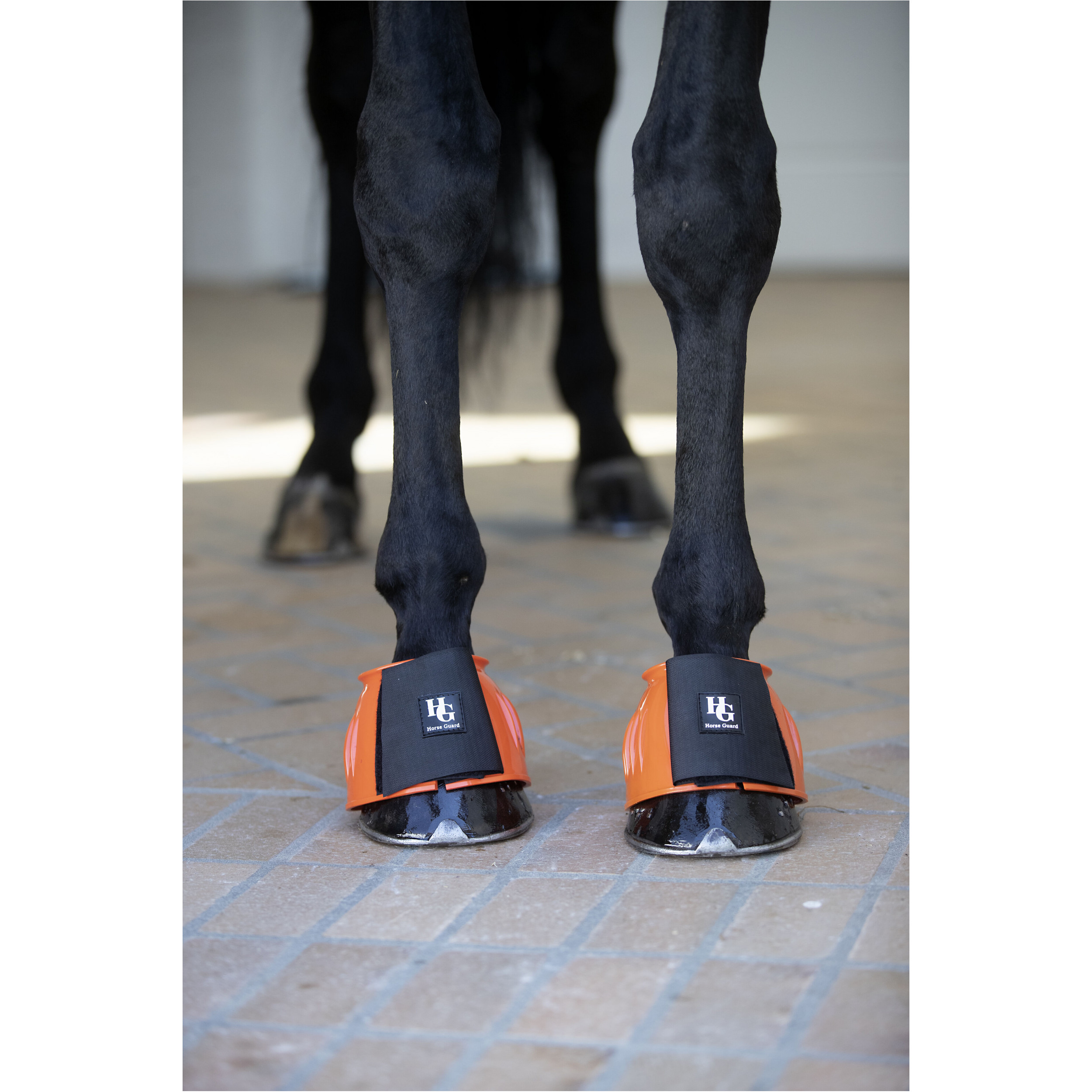 Hufglocken TAMSIN orange