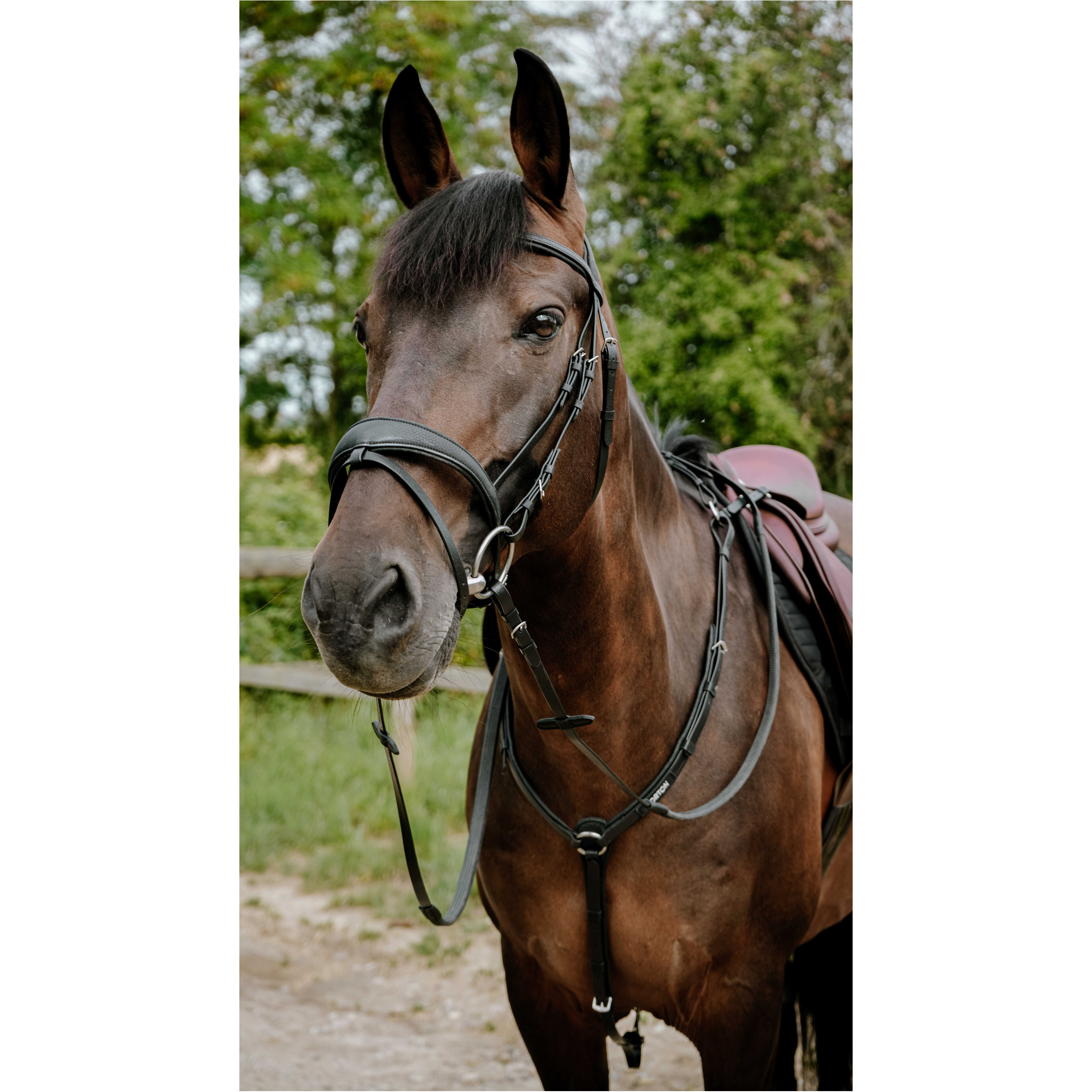 Trensenzaum ENDURANCE POP schwarz