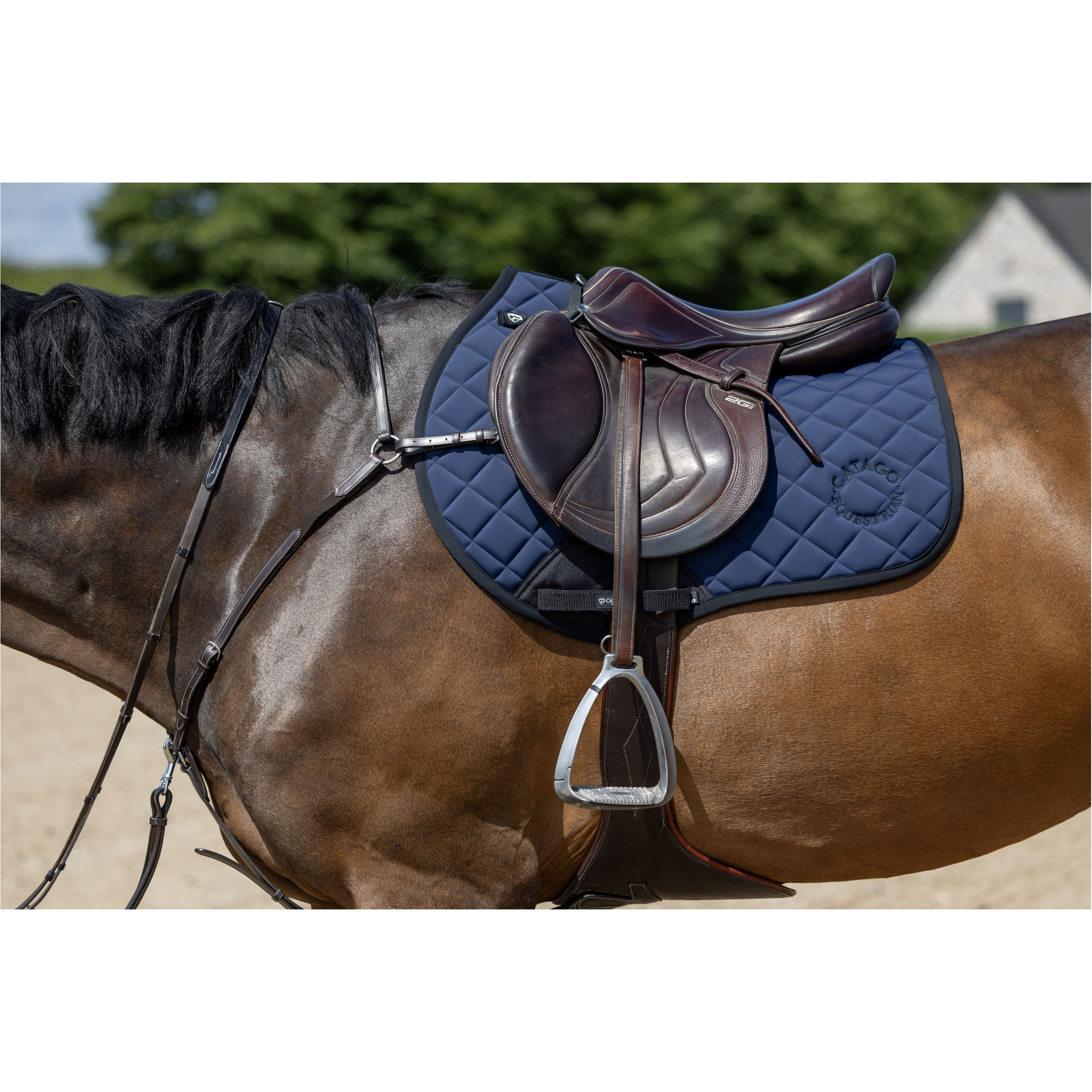 Vorderzeug mit abnehmbarem Martingal braun