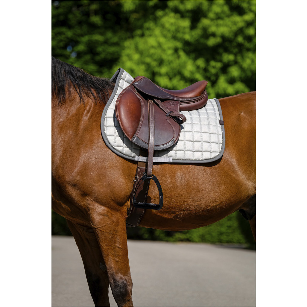 Schabracke CHIC hellgrau Warmblut Vielseitigkeit Schabracke CHIC hellgrau Warmblut Vielseitigkeit
