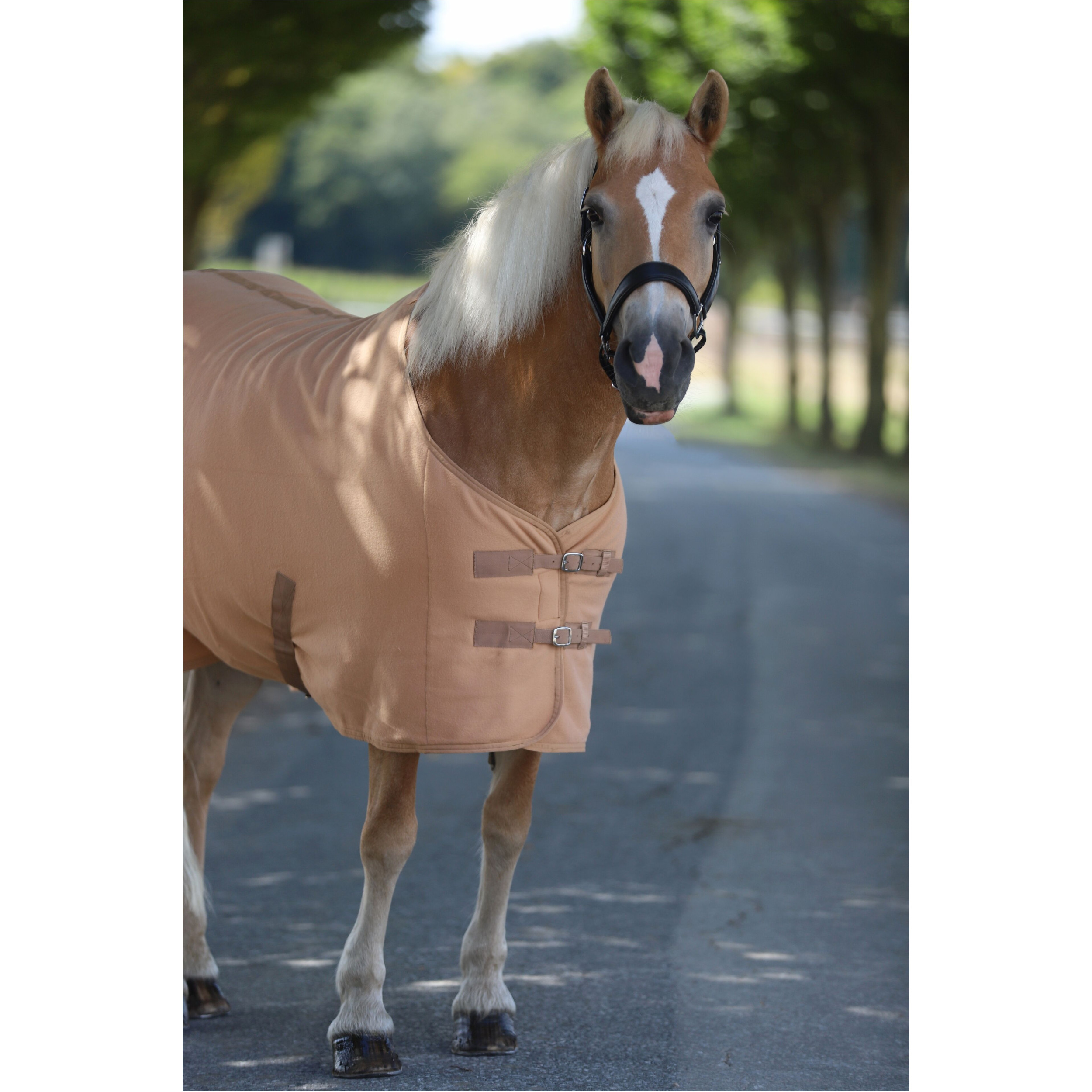 Abschwitzdecke mit Kreuzgurt BASICLINE hellbraun