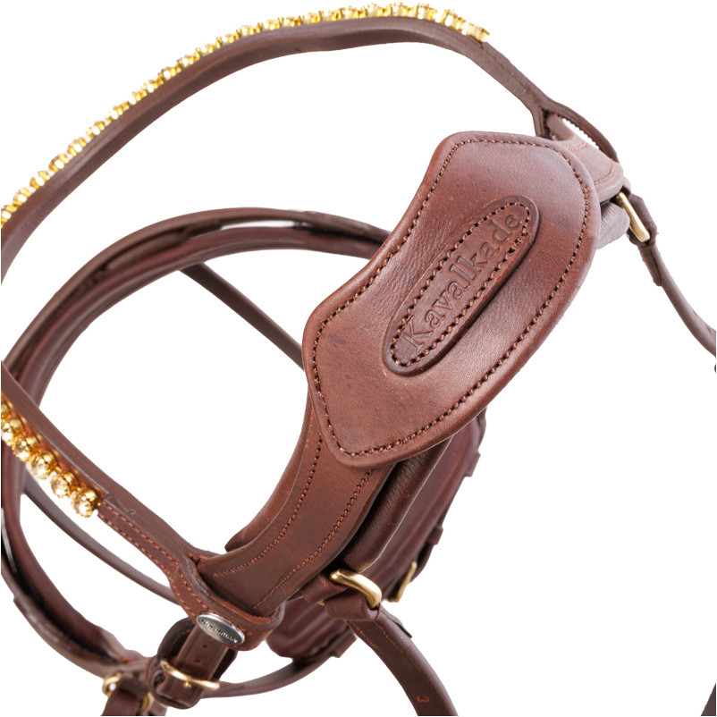 Trensenzaum englisch kombiniert CALIANO Leder geölt braun/messing