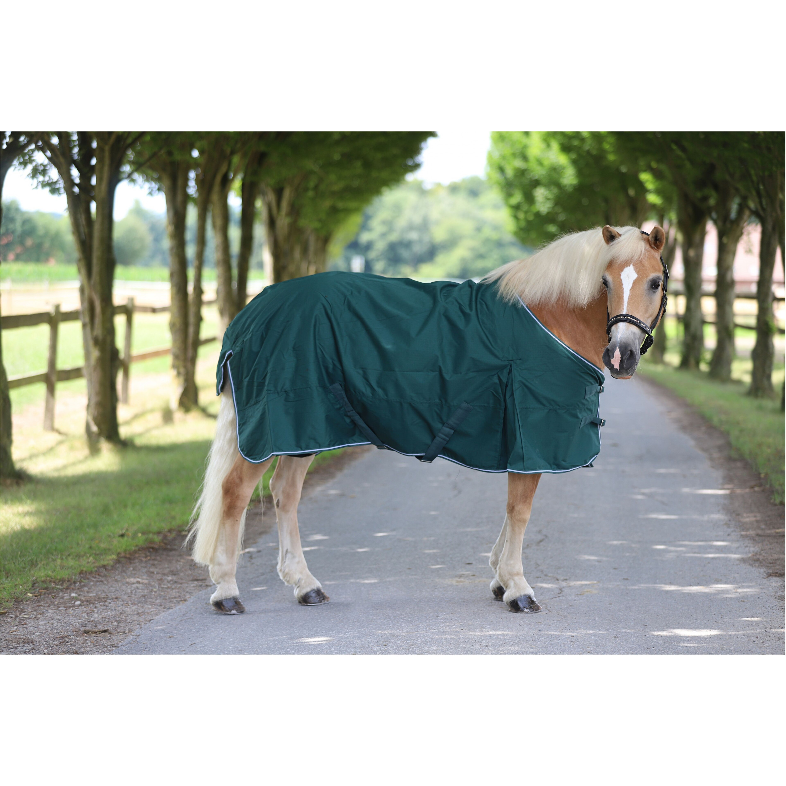 Regendecke 600D COMFORT tannengrün