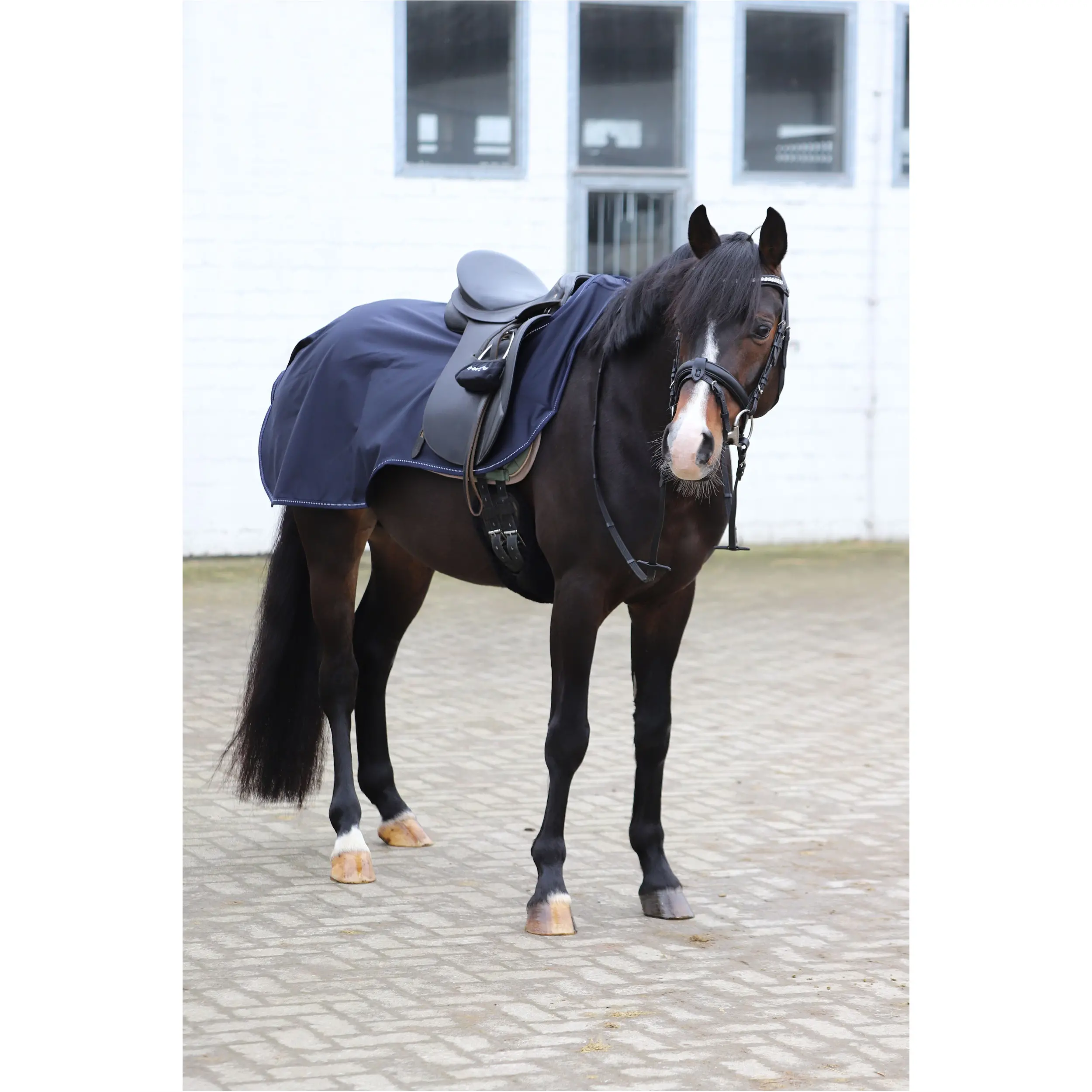 Ausreitdecke EXCLUSIVE dark navy