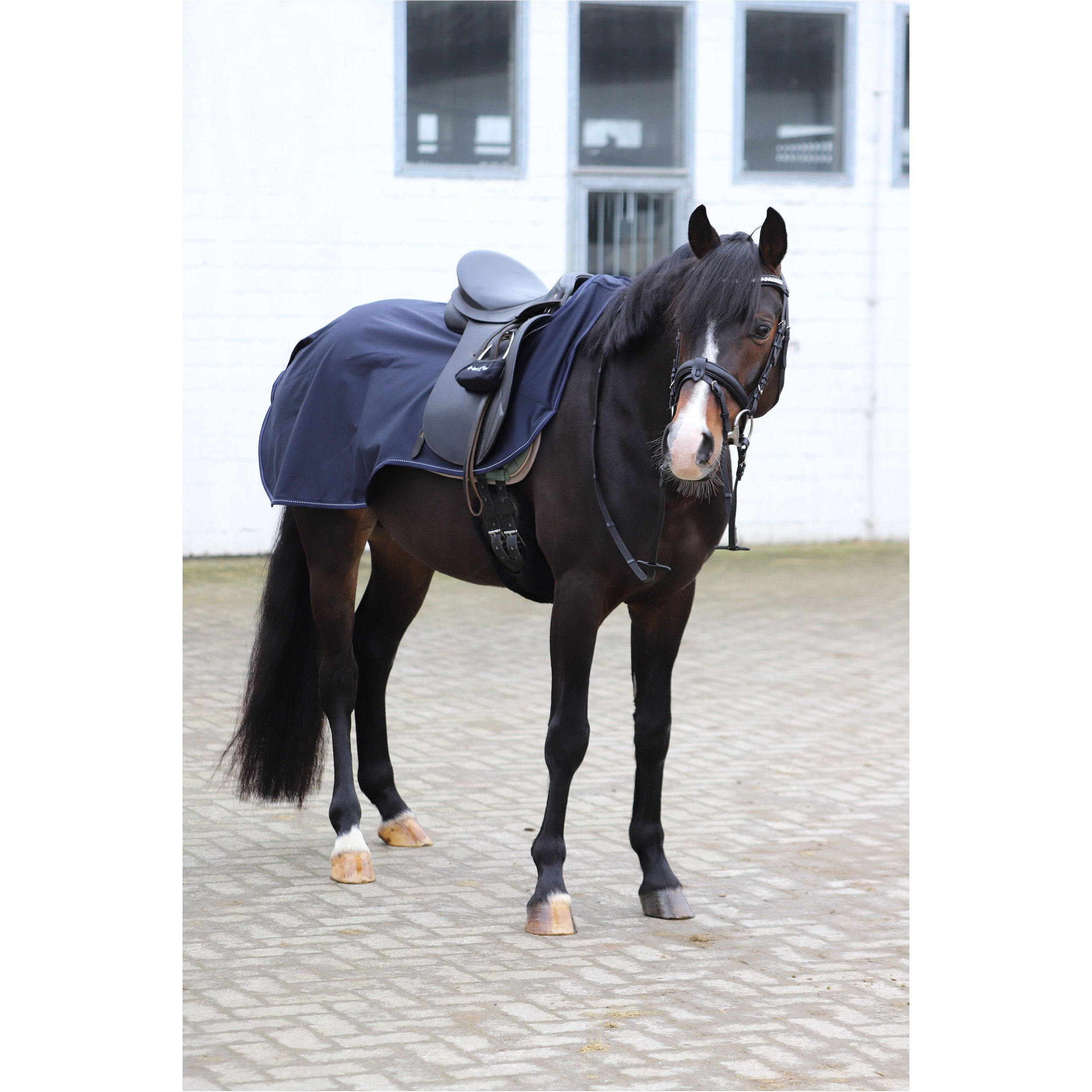 Ausreitdecke EXCLUSIVE dark navy