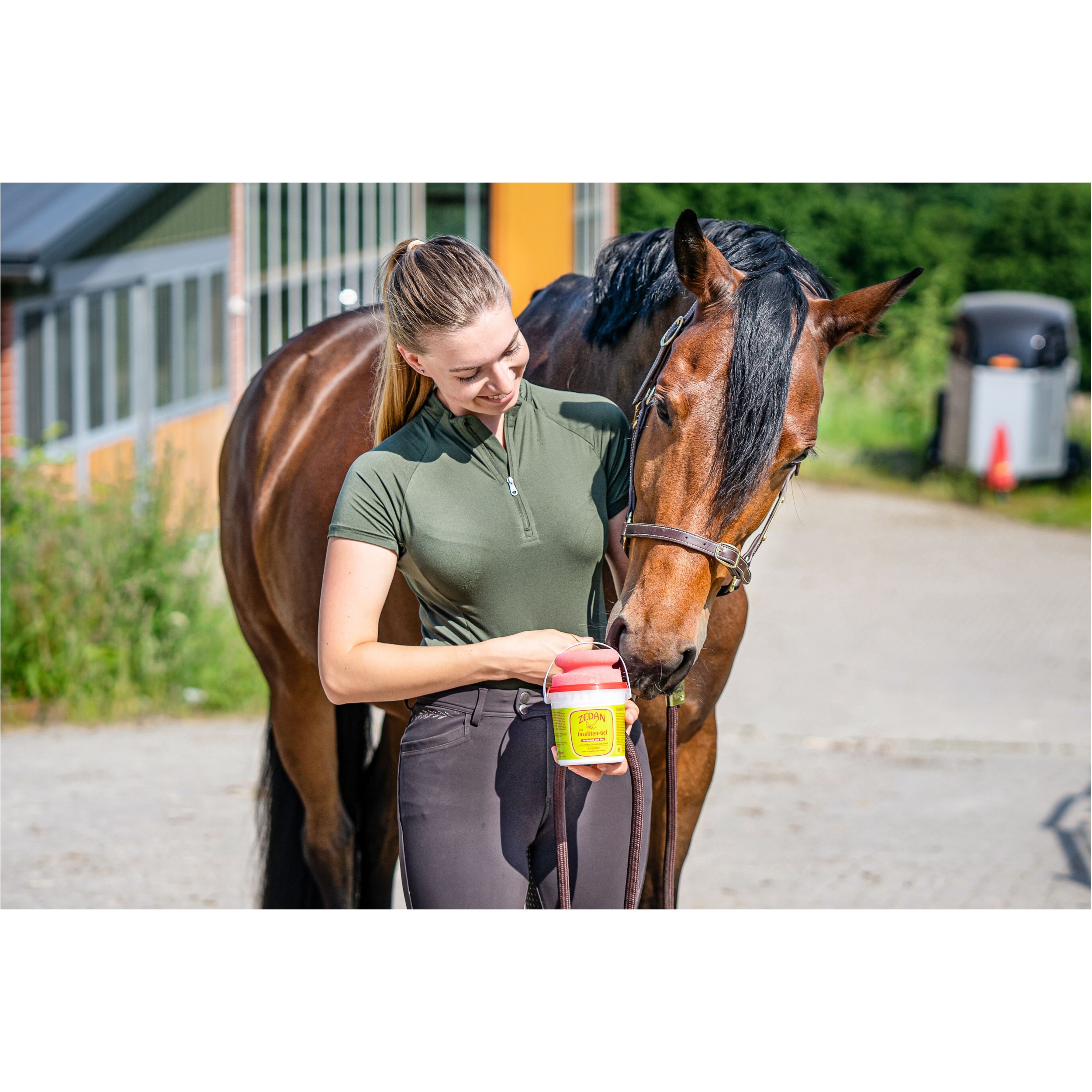 Insekten-Gel mit Schwamm SP 500ml Eimer