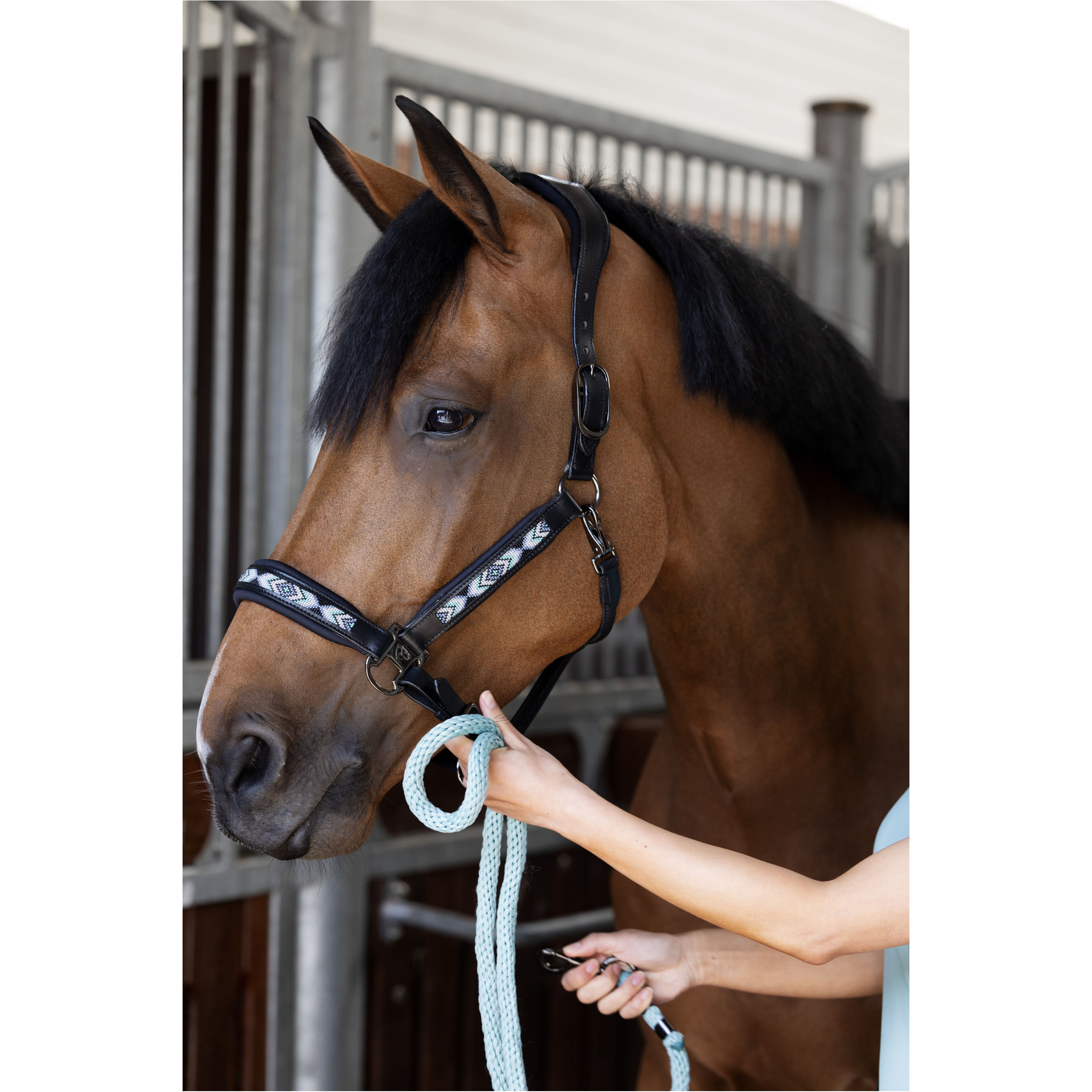 Lederhalfter ANAMO schwarz Lederhalfter ANAMO schwarz