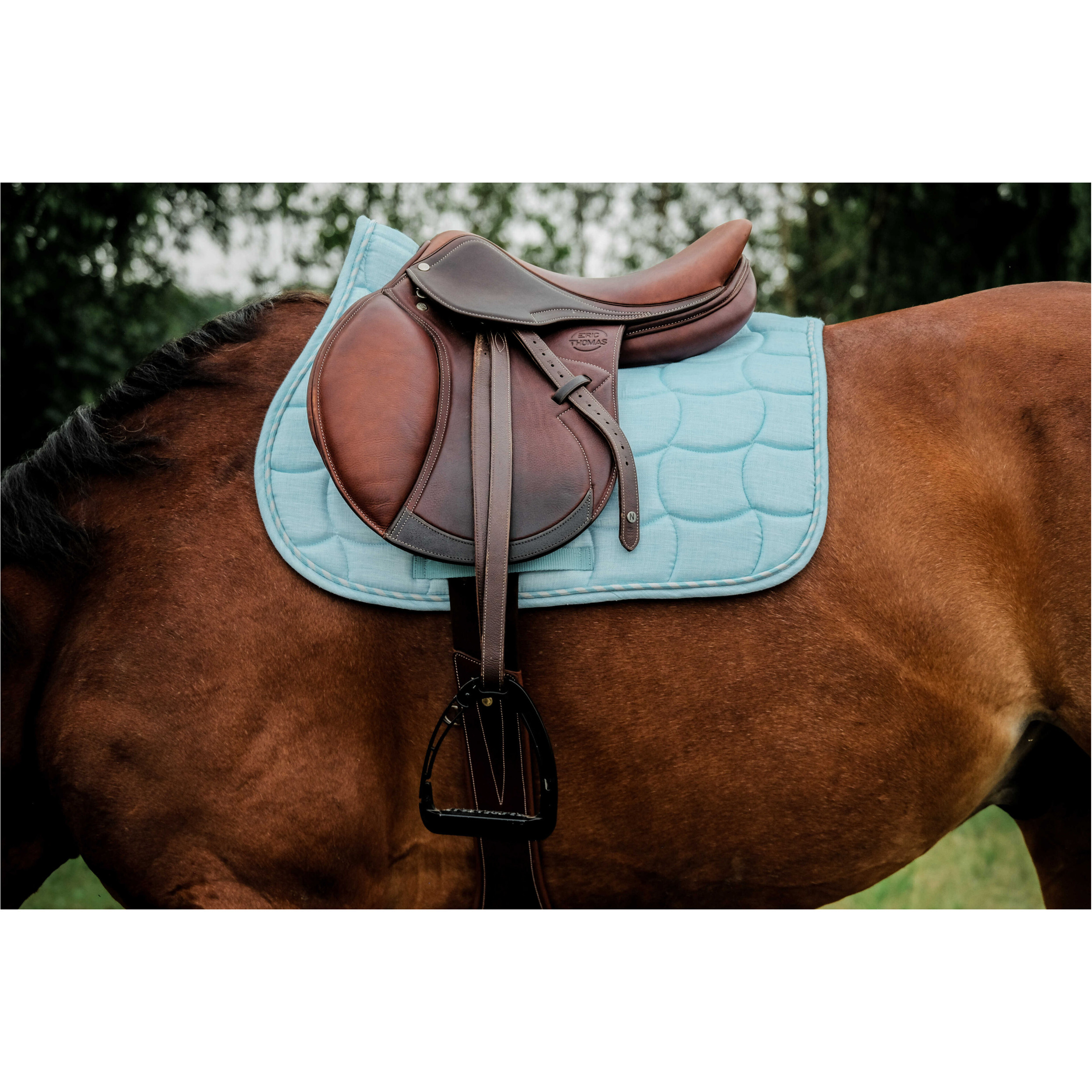 Schabracke SUNSHINE himmelblau Warmblut Vielseitigkeit Schabracke SUNSHINE himmelblau Warmblut Vielseitigkeit