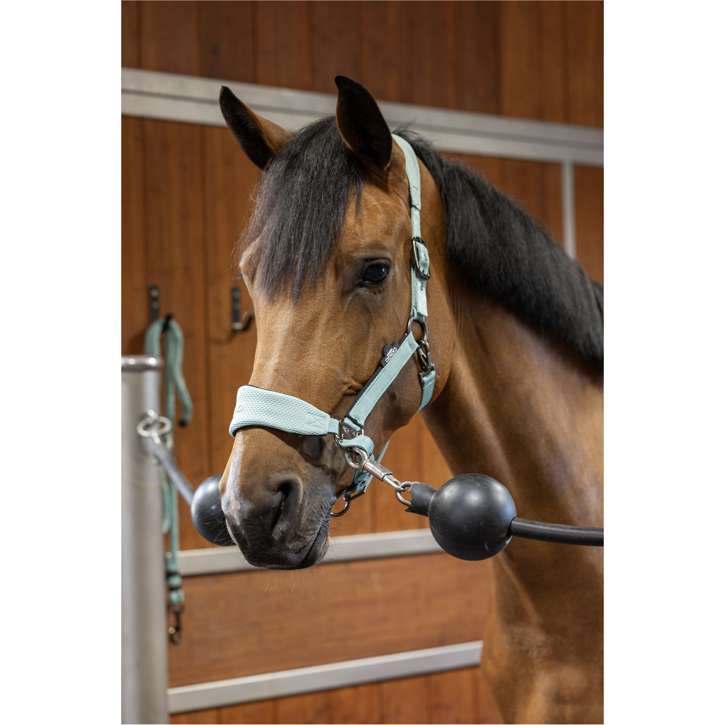 Halfter FIR-Tech blue surf