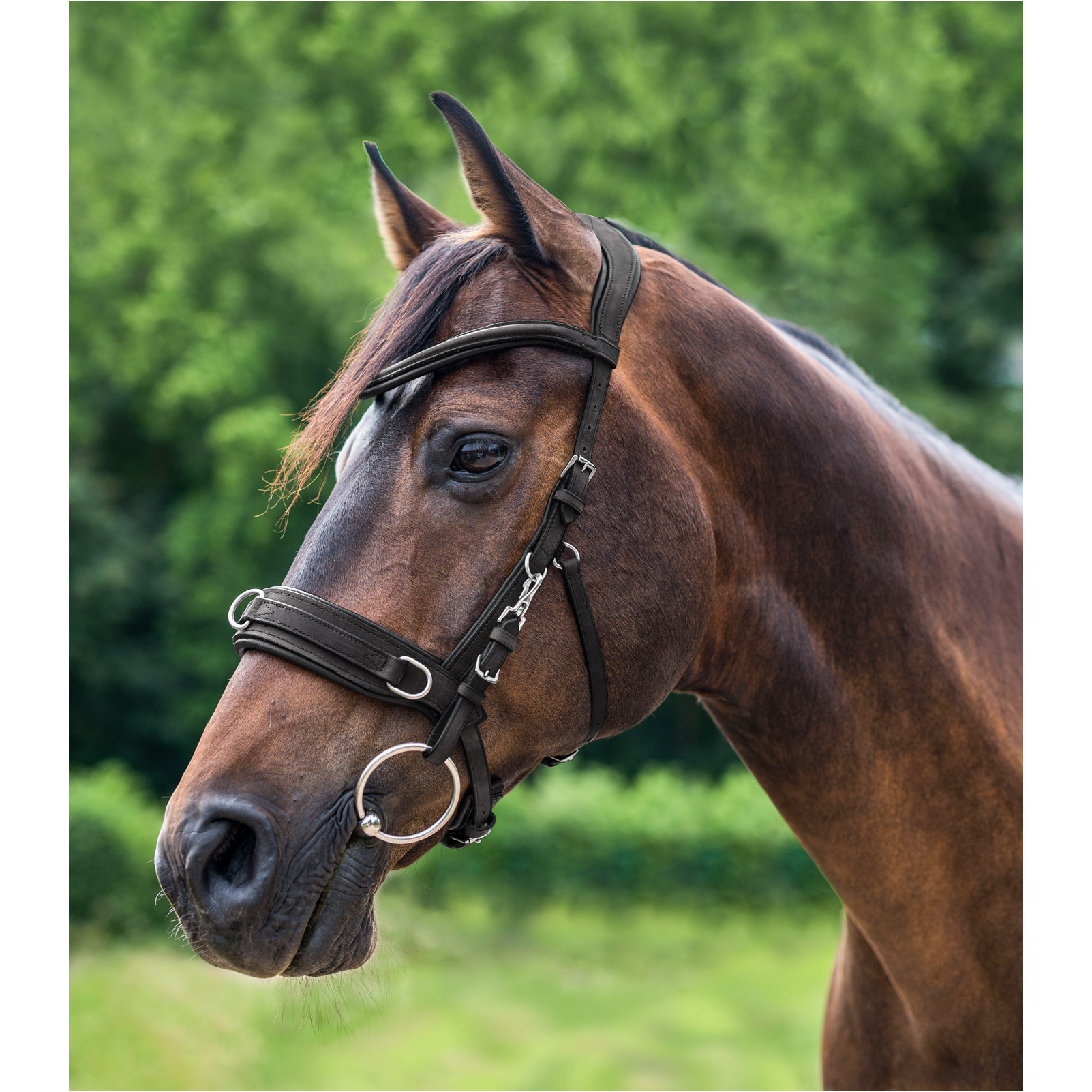 Kappzaum ANATOMIC Echtleder schwarz