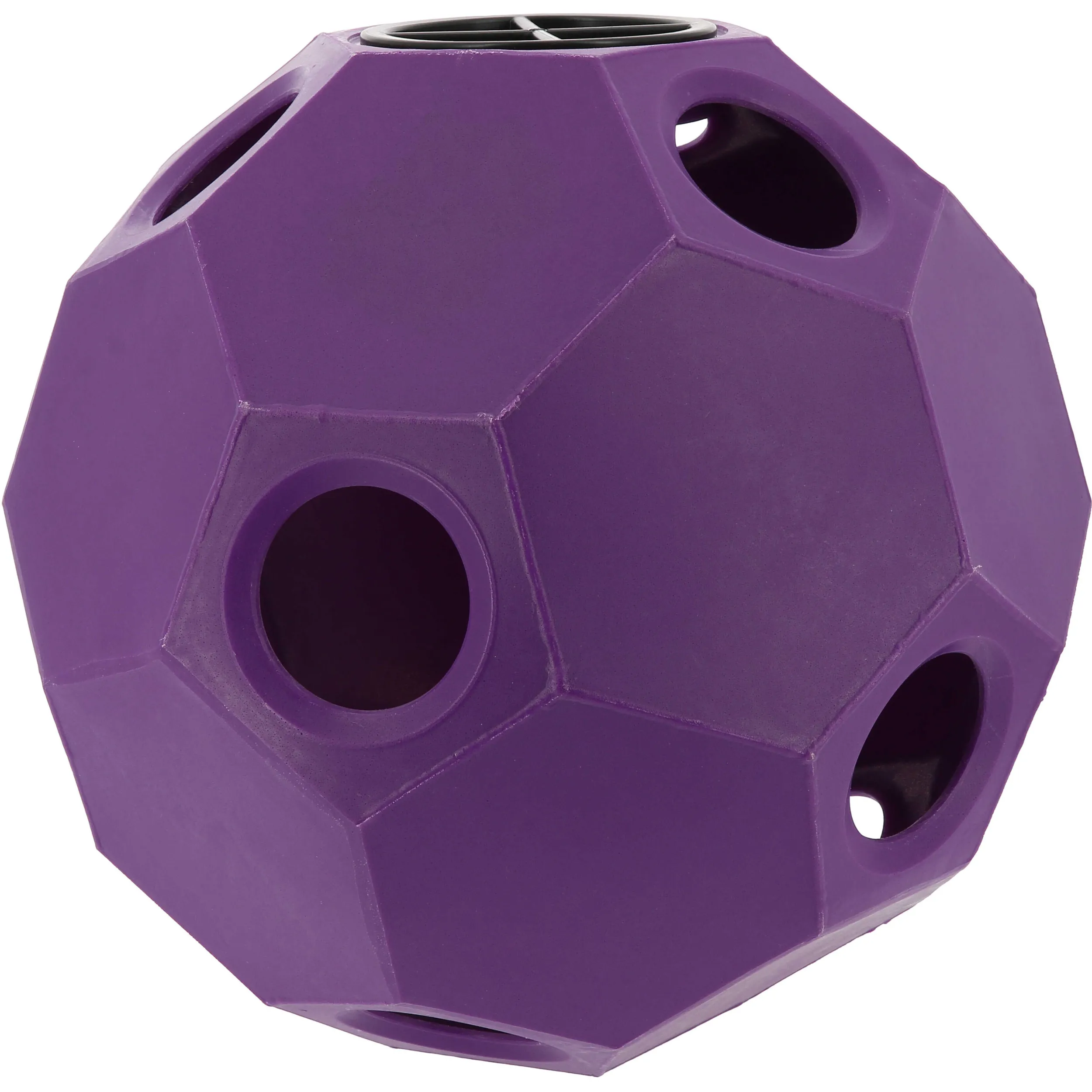 Slow-Feeder-Ball für Heu violett 42cm